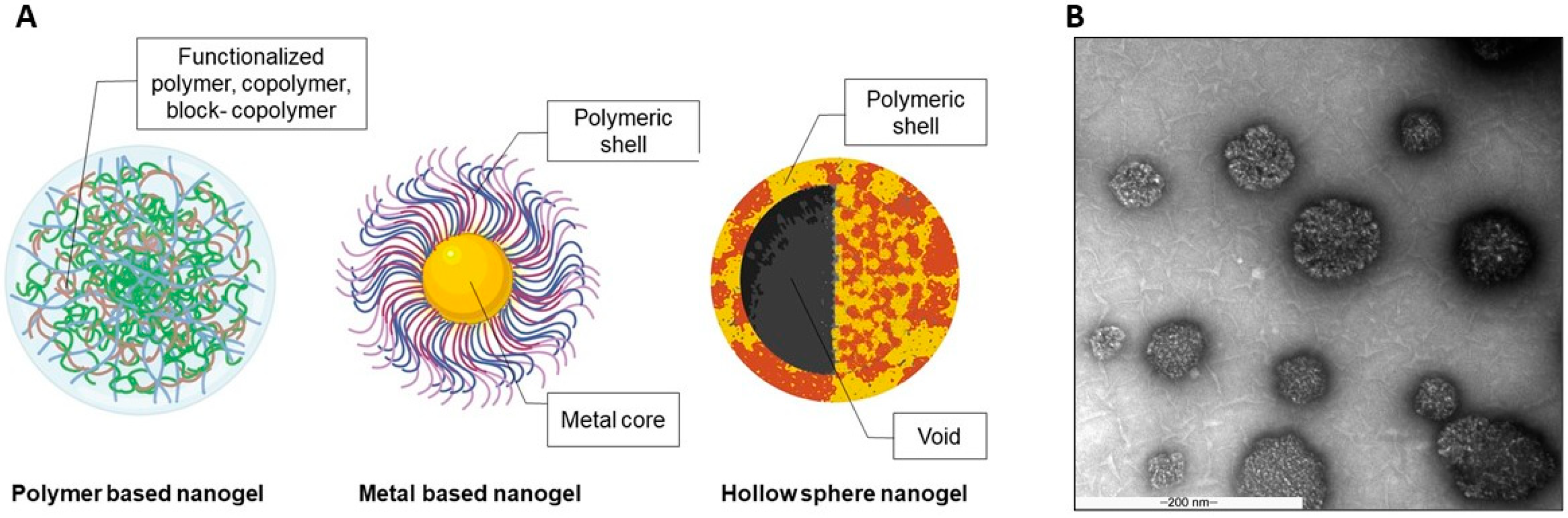 Gels 07 00228 g001 Gels 07 00228 g001