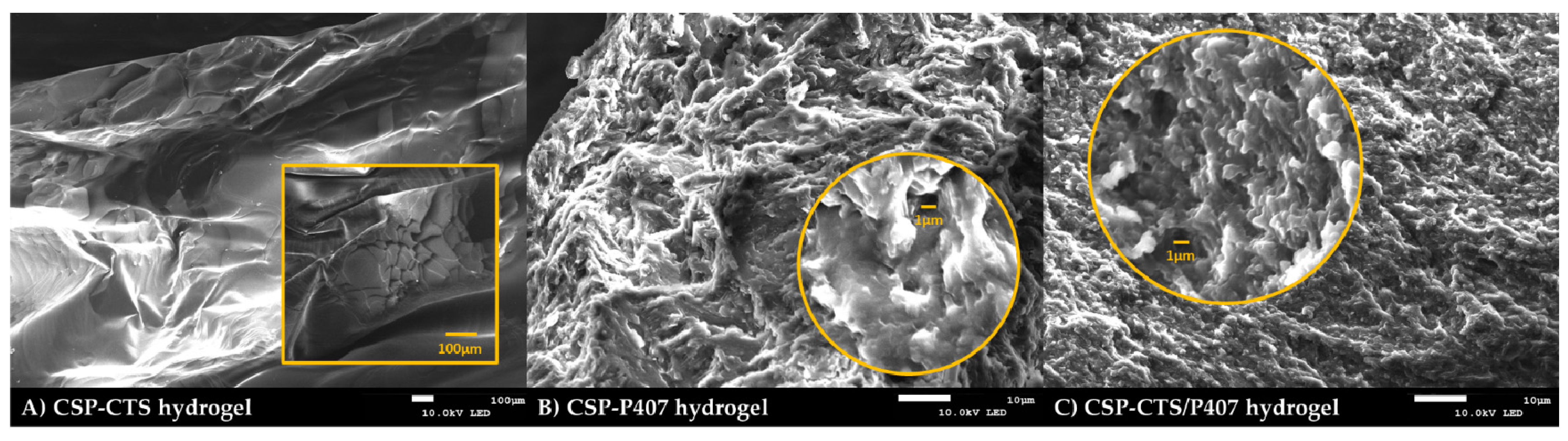 Gels 07 00259 g001 Gels 07 00259 g001