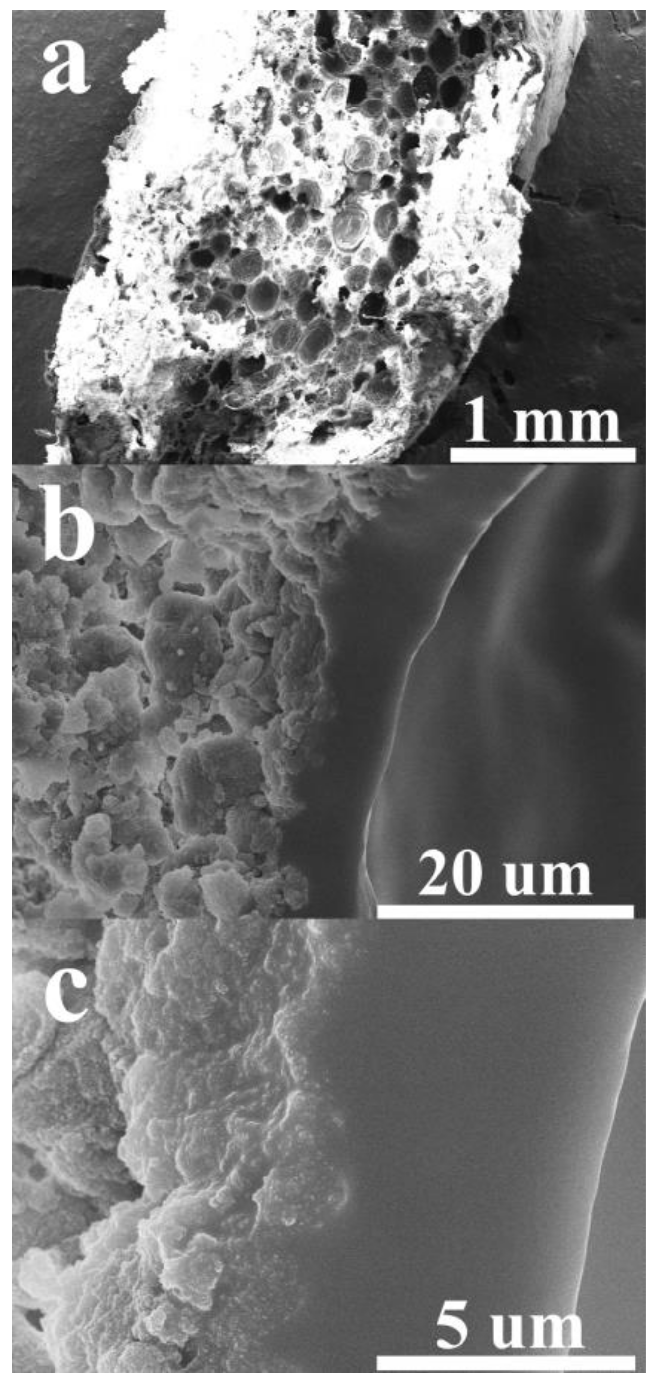Gels 08 00007 g003
