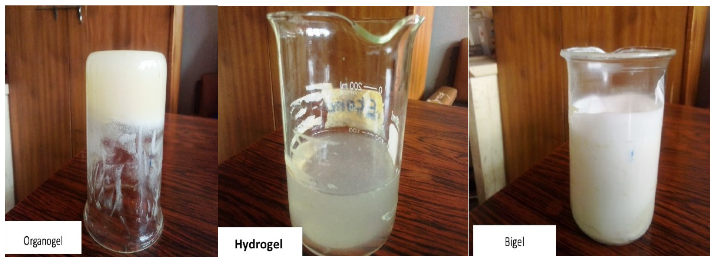 Gels 08 00015 g004 Gels 08 00015 g004