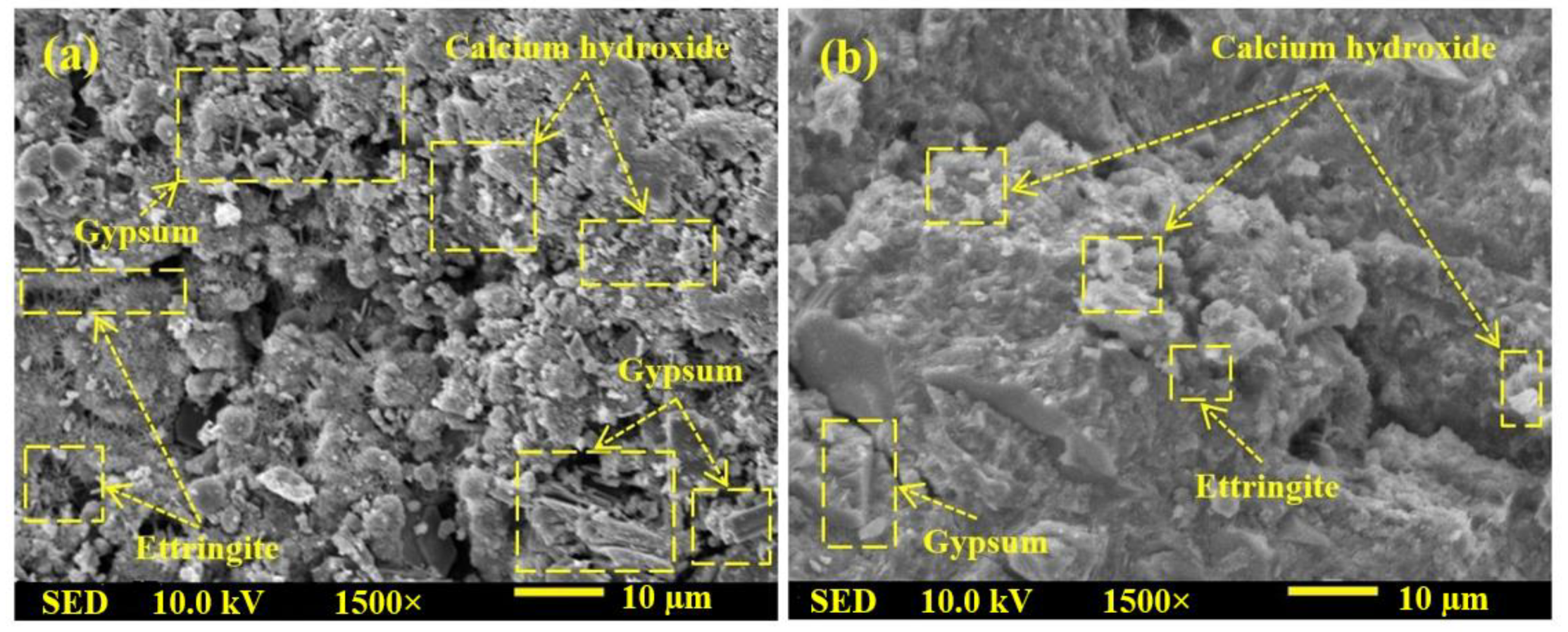 Gels 08 00053 g008 Gels 08 00053 g008