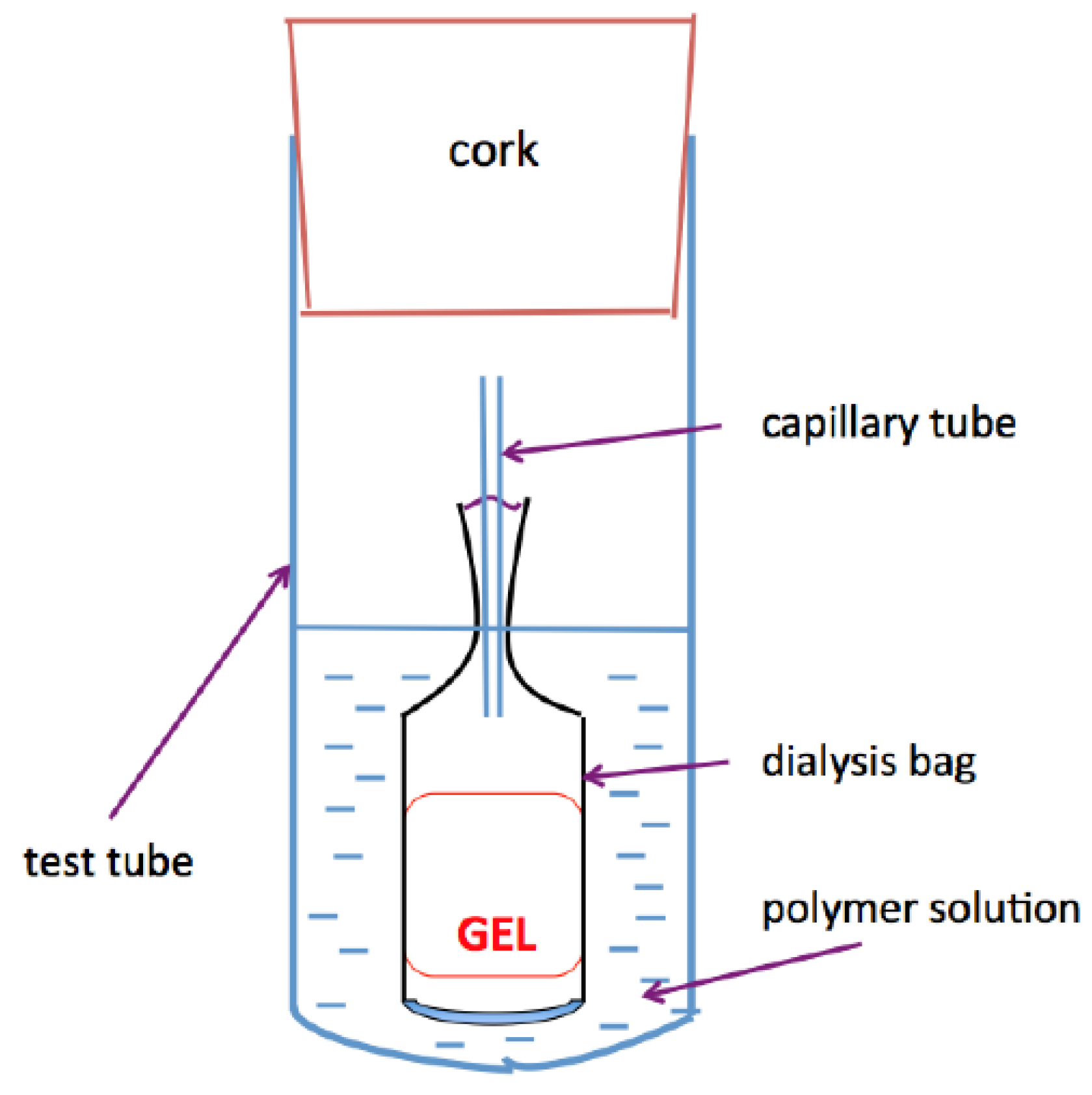 Gels 08 00096 sch002