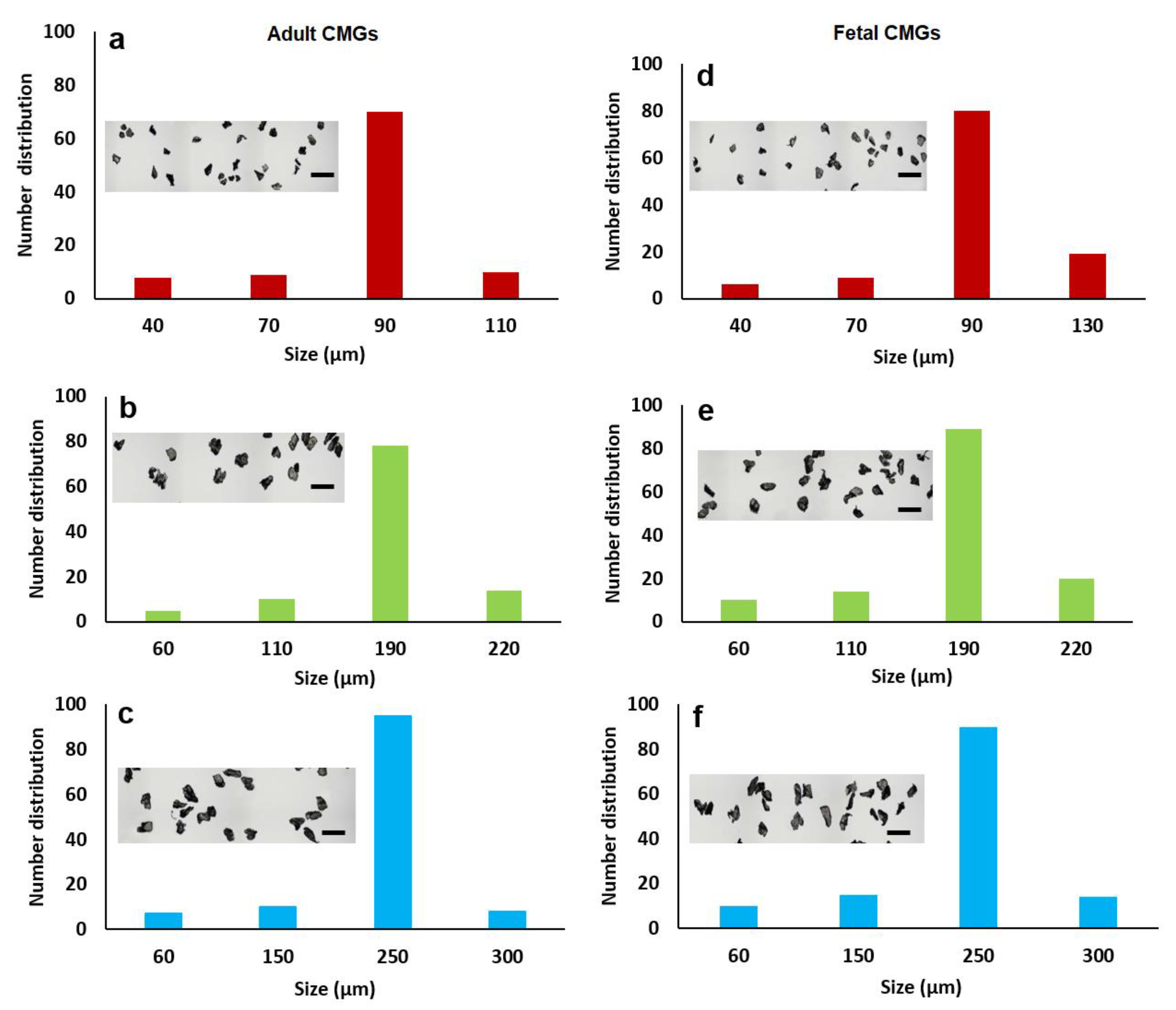 Gels 08 00148 g001 Gels 08 00148 g001
