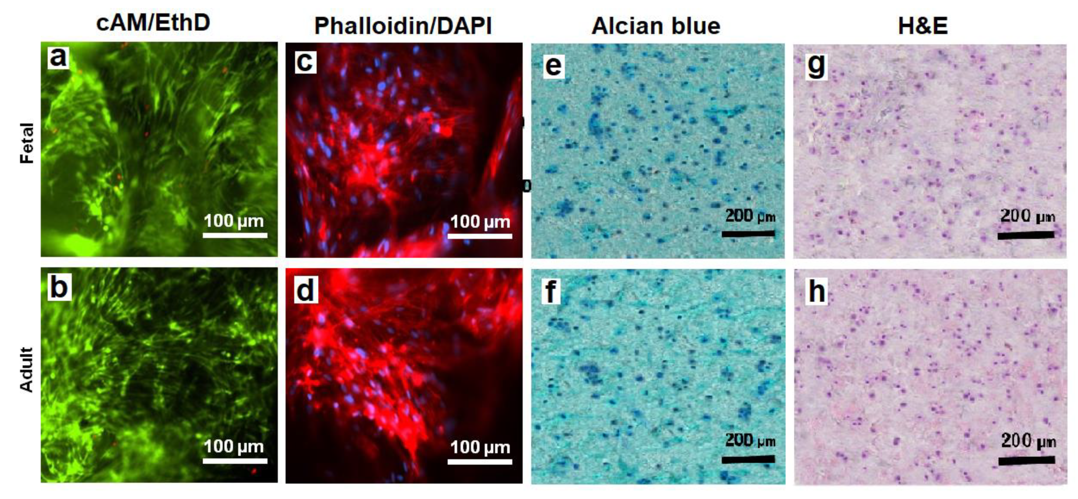 Gels 08 00148 g008 Gels 08 00148 g008