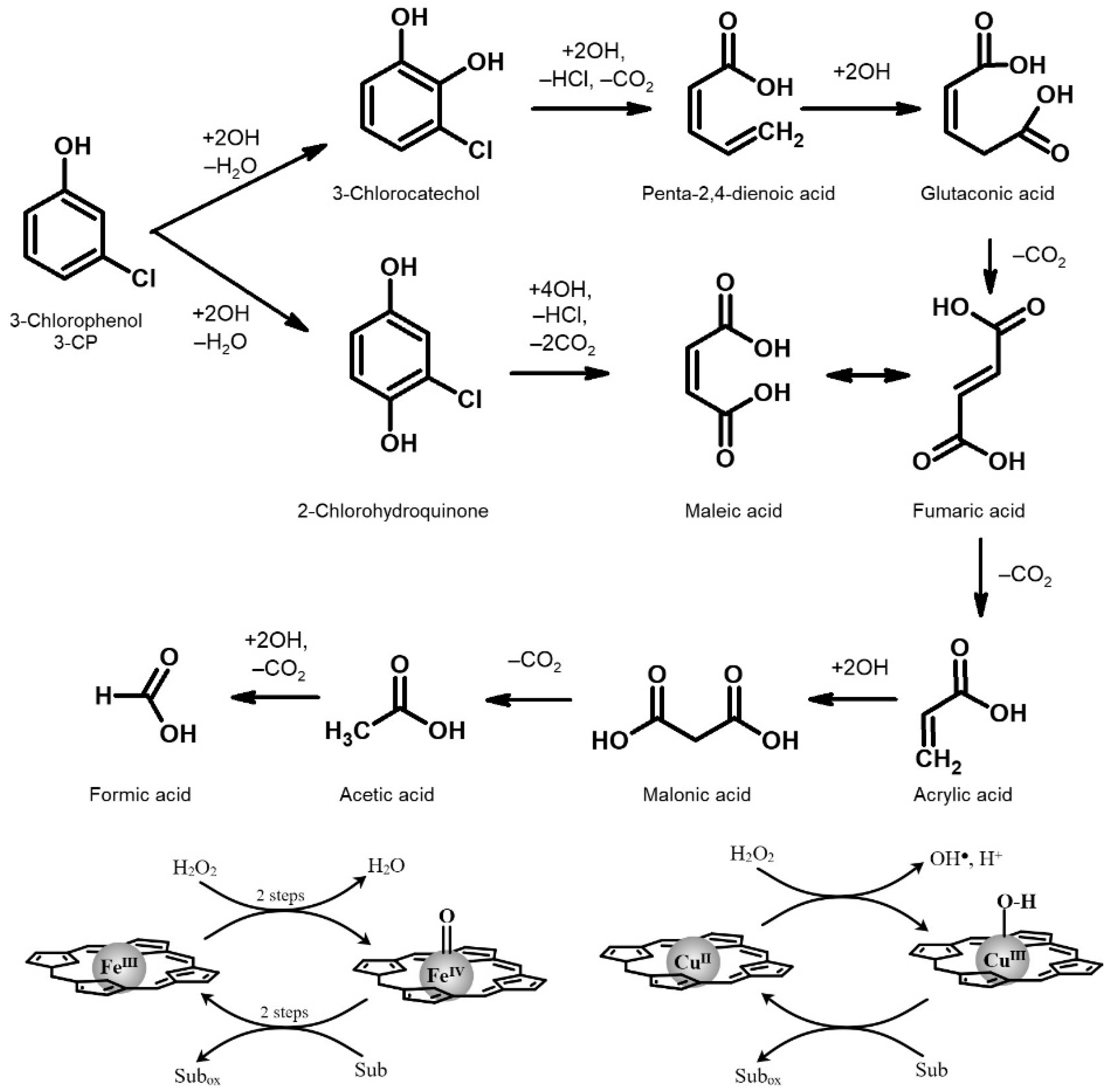 Gels 08 00202 sch002