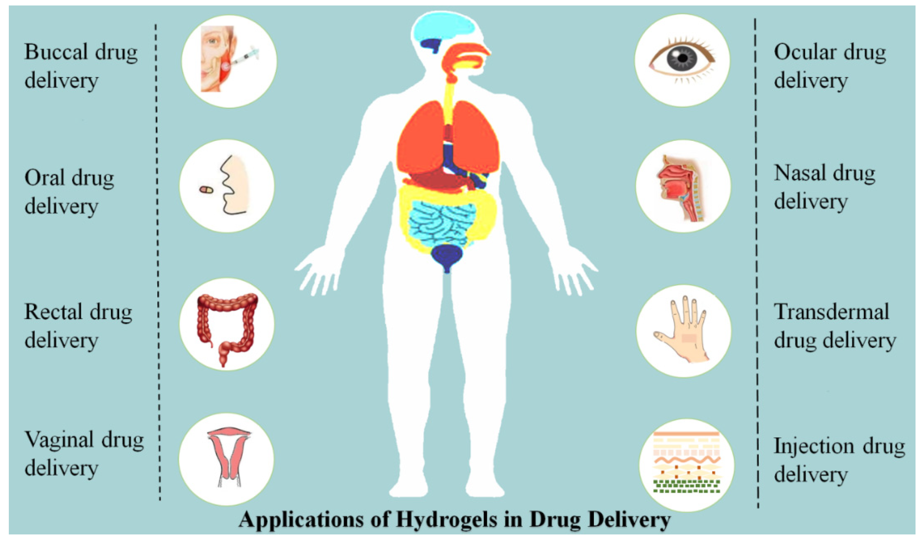 Gels 08 00205 g003 Gels 08 00205 g003