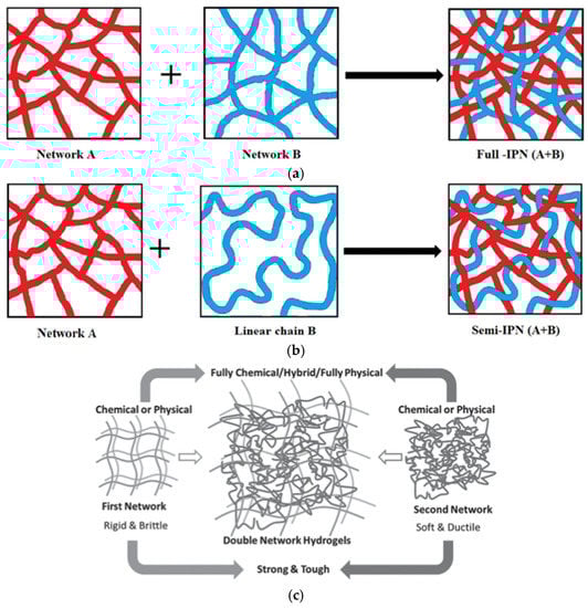 Gels 08 00239 g020 550