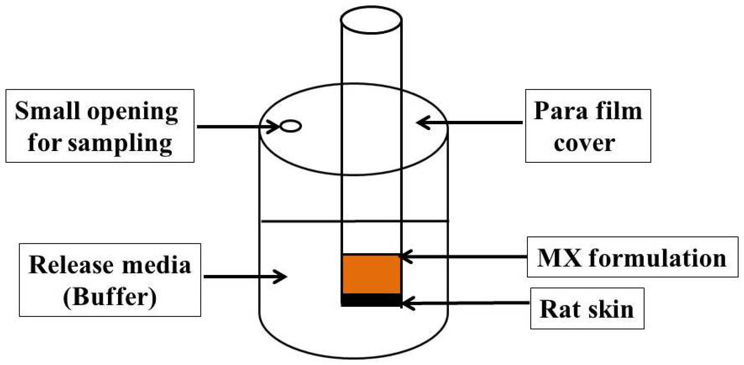 Gels 08 00262 g010 Gels 08 00262 g010