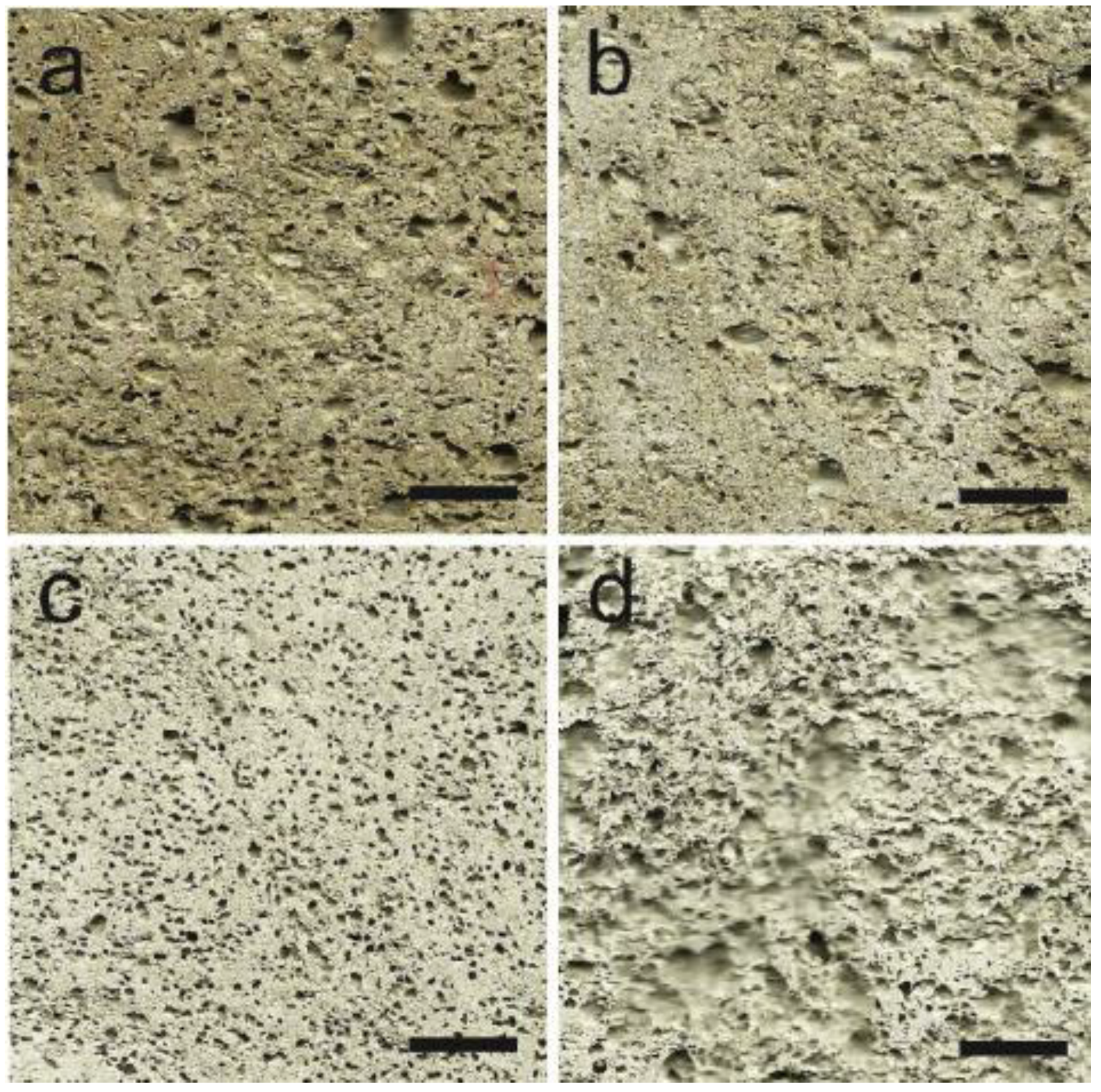 Gels 08 00278 g003 Gels 08 00278 g003