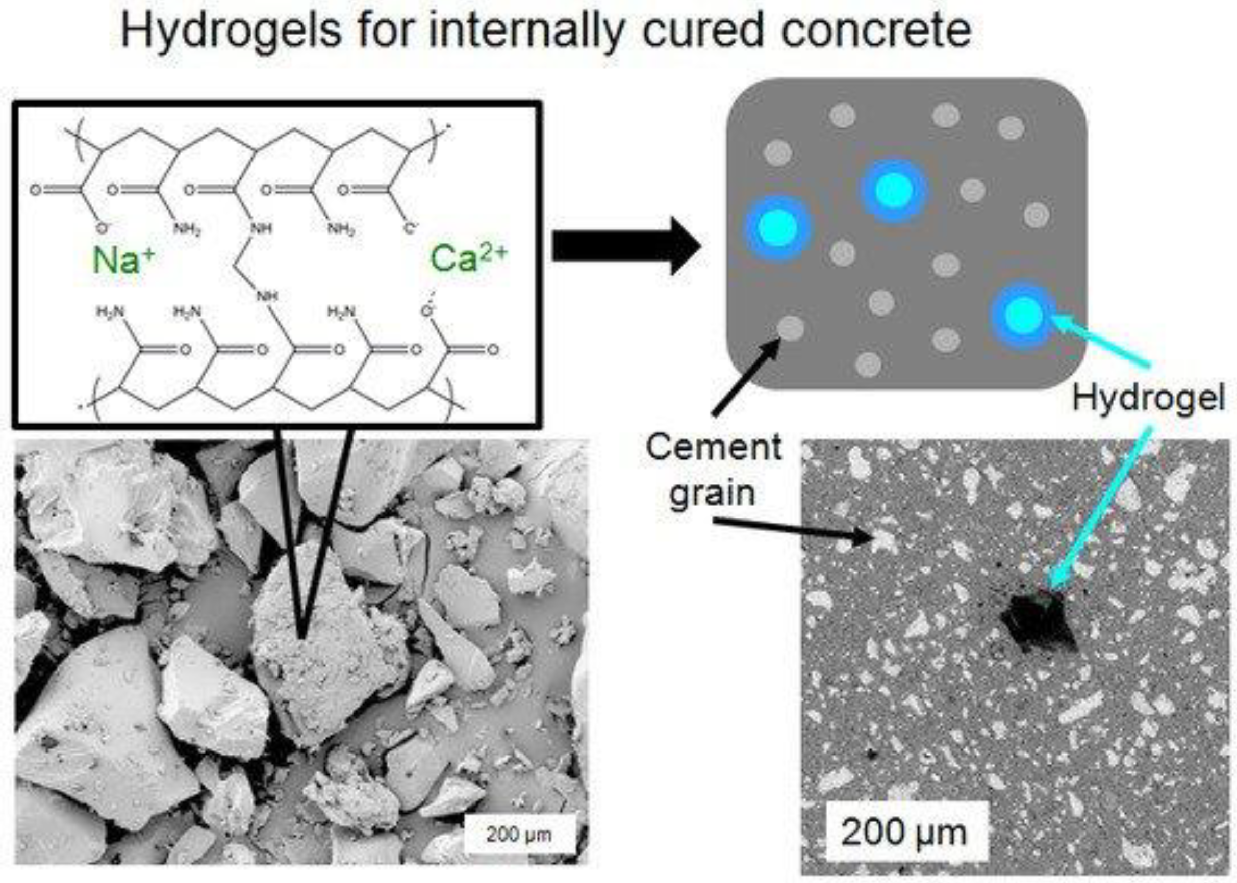 Gels 08 00278 g006 Gels 08 00278 g006