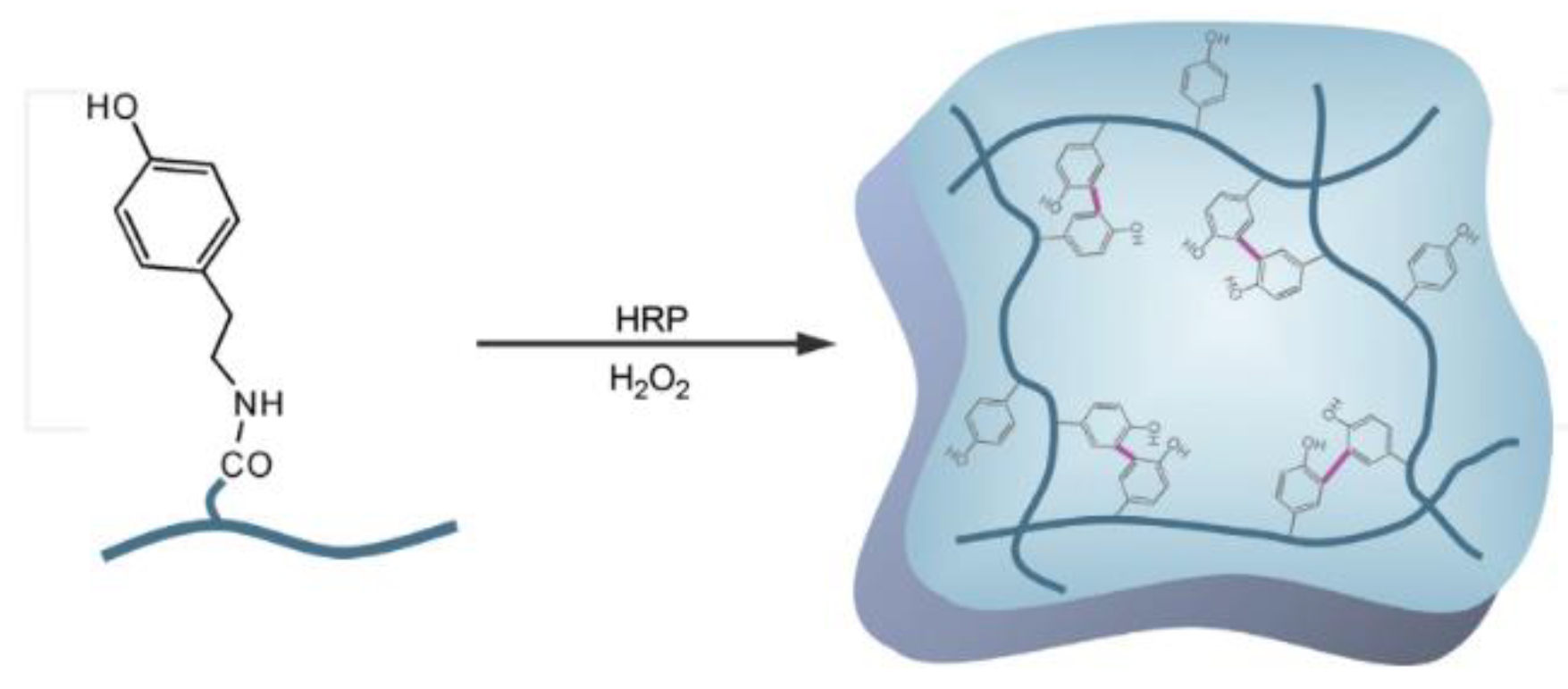 Gels 08 00278 g009 Gels 08 00278 g009