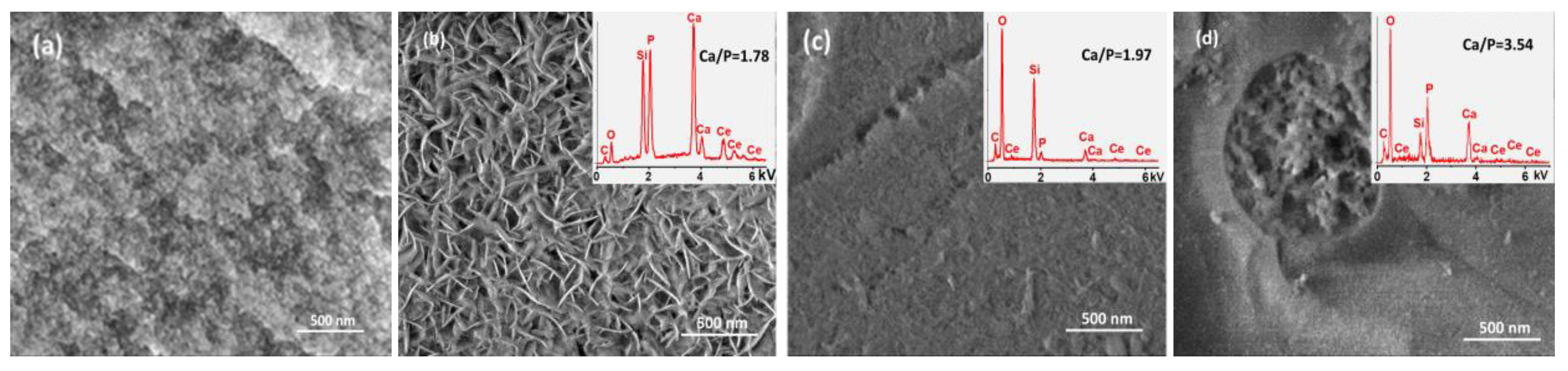 Gels 08 00344 g010