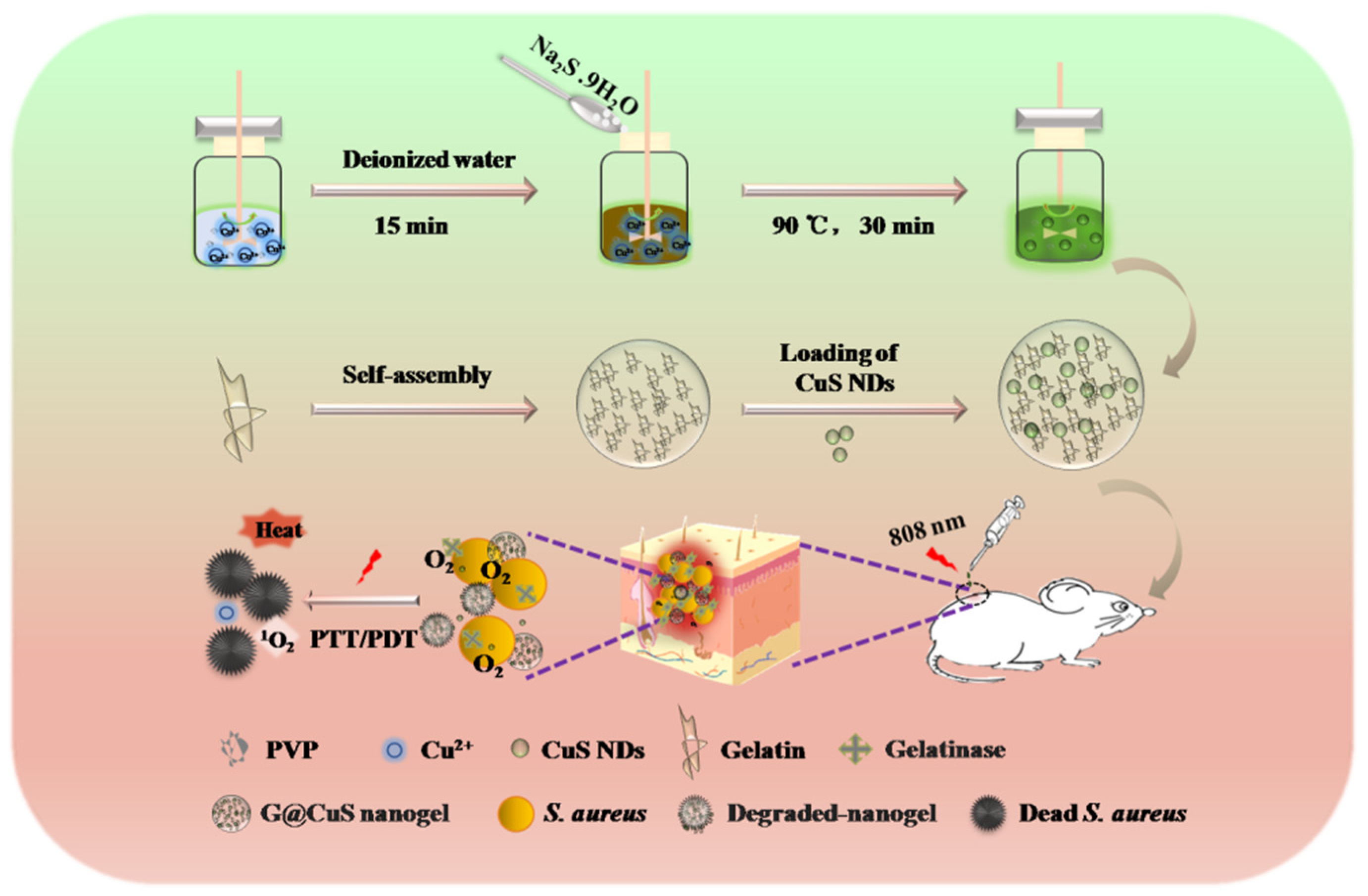 Gels 08 00397 sch001
