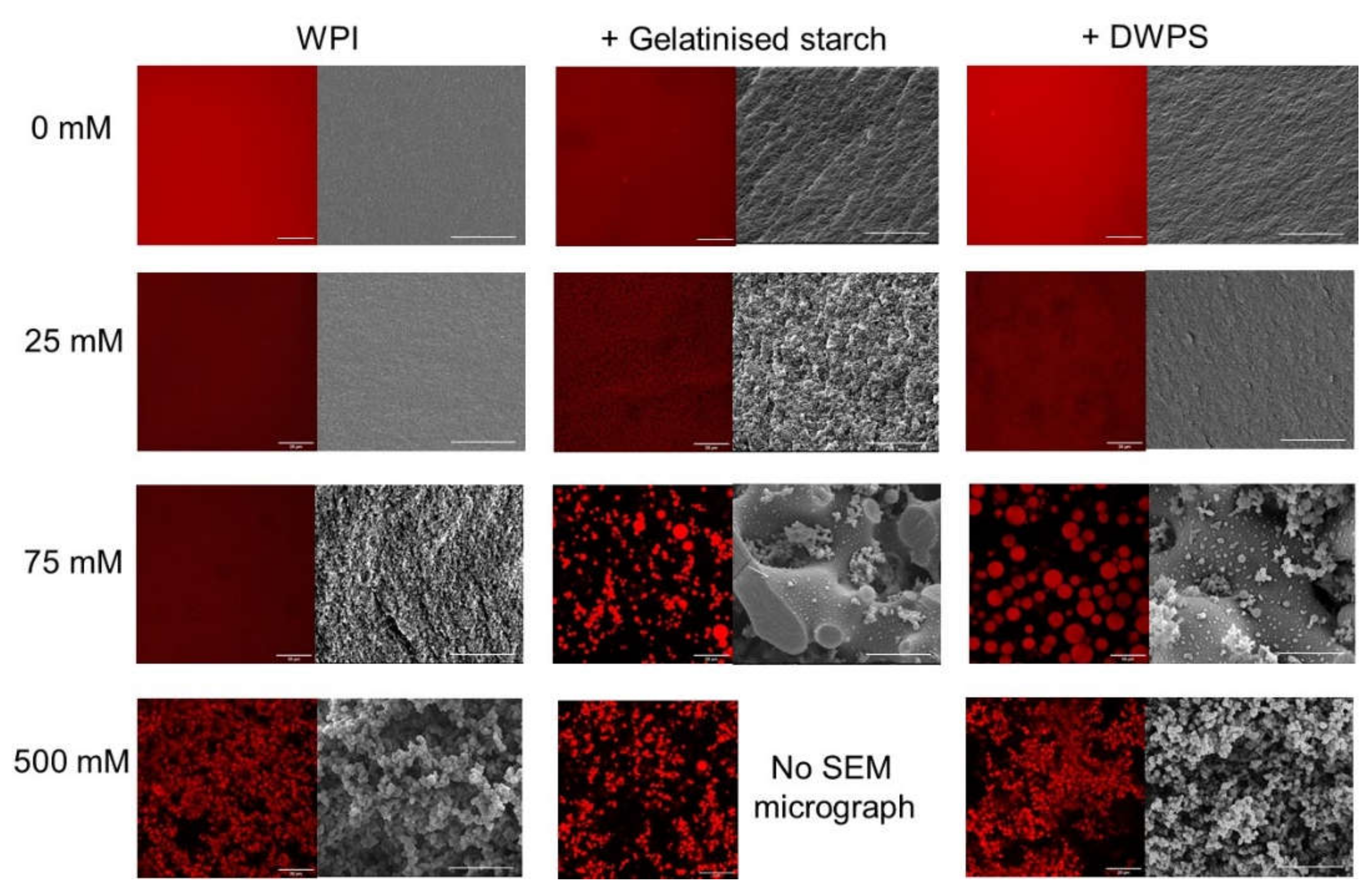 Gels 08 00399 g004