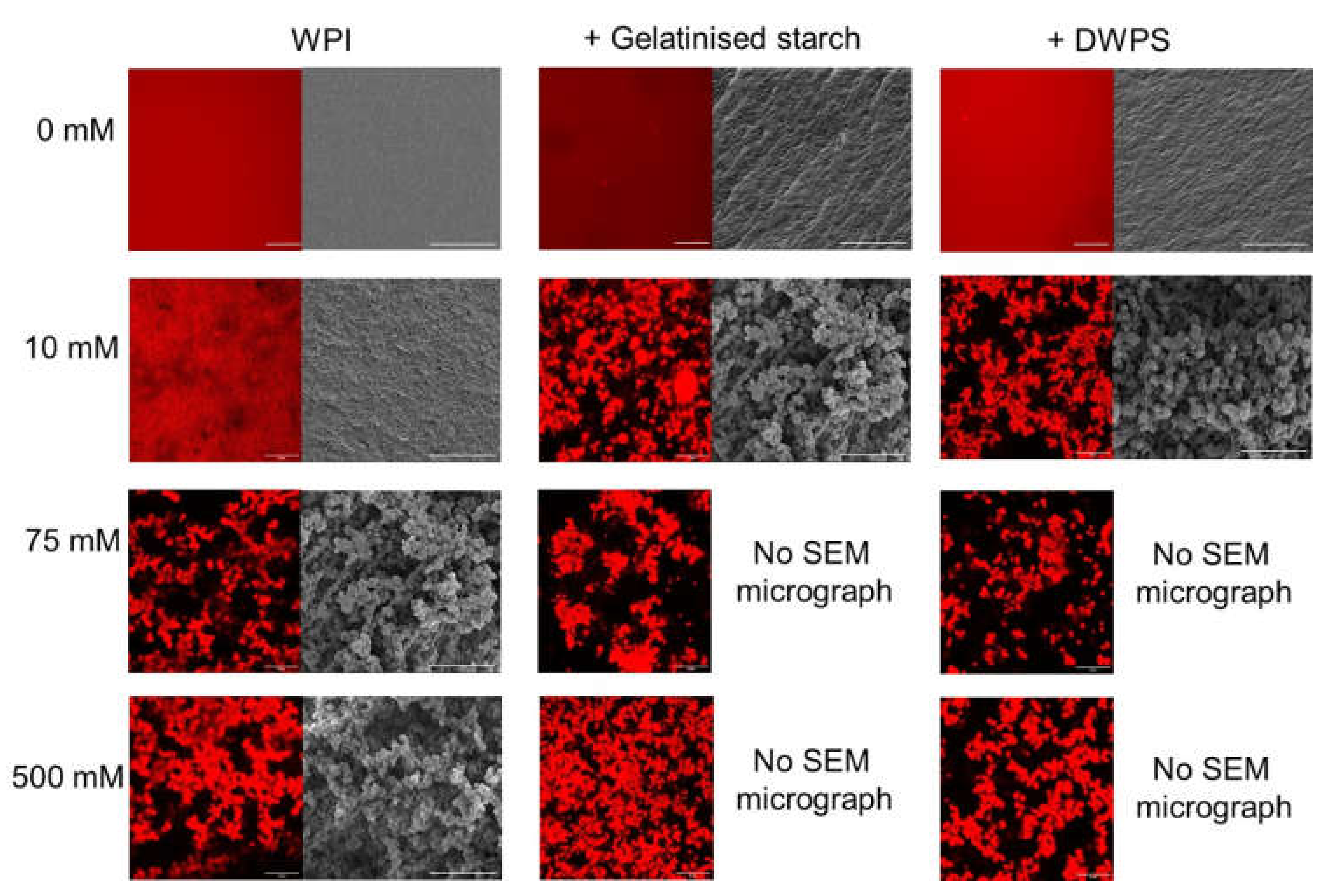 Gels 08 00399 g006