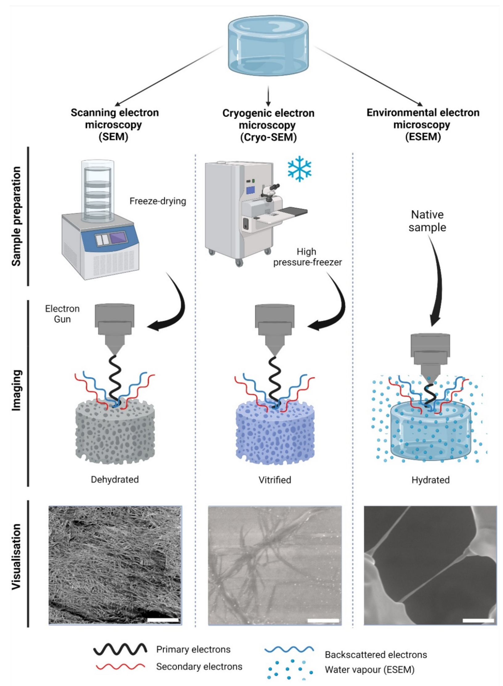 Gels 08 00535 g002 Gels 08 00535 g002