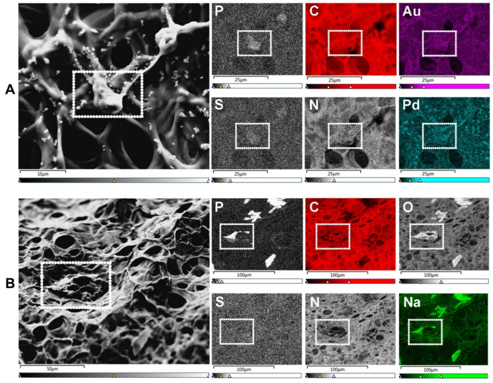 Gels 08 00535 g003 Gels 08 00535 g003