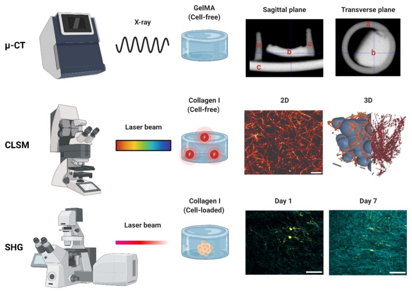 Gels 08 00535 g004 Gels 08 00535 g004