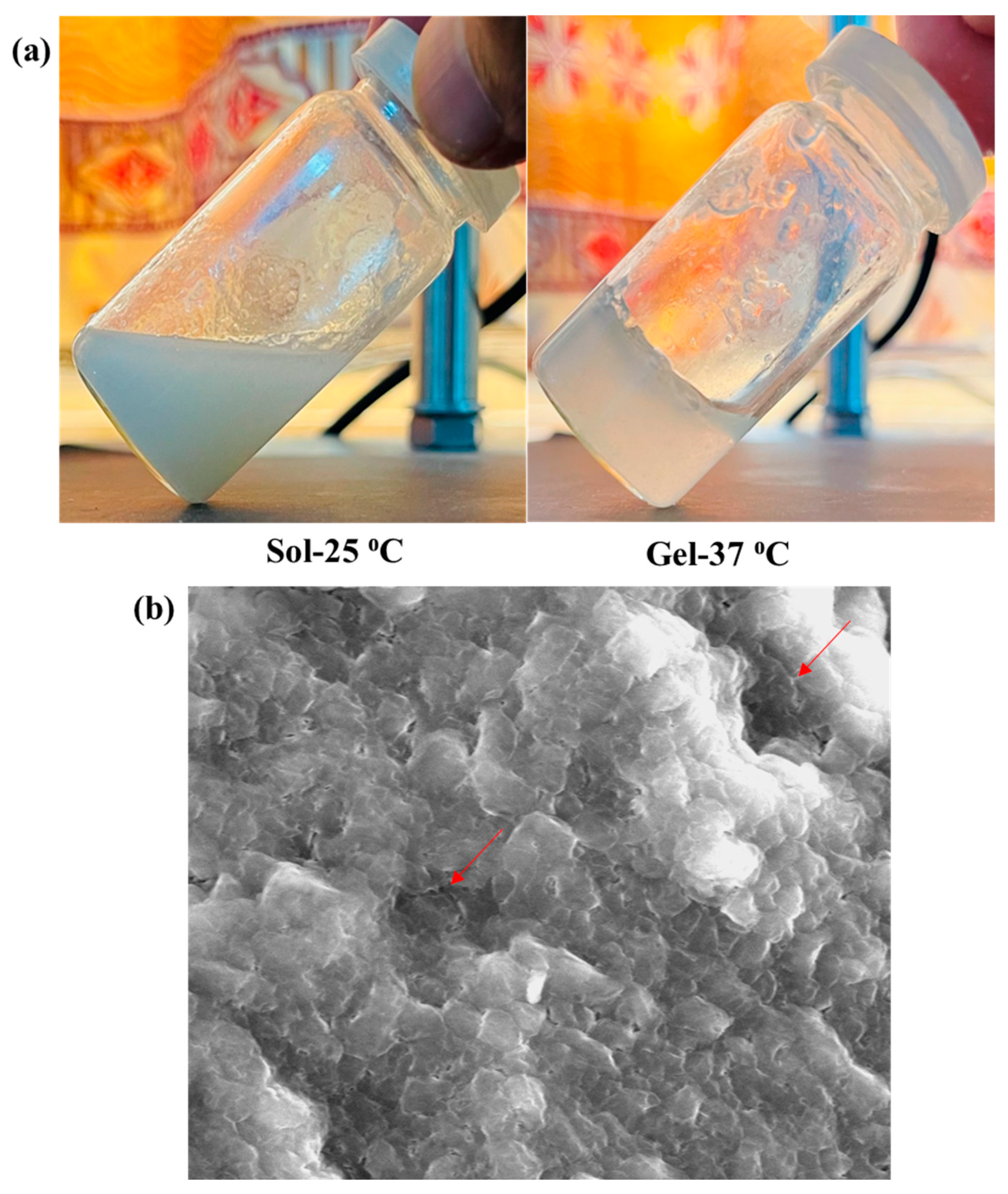 Gels 08 00537 g004