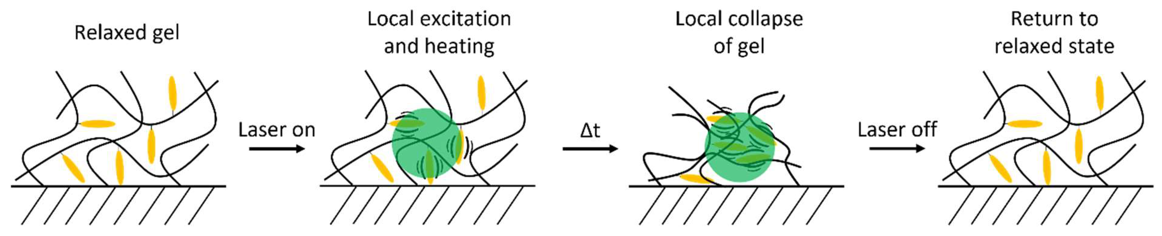 Gels 08 00541 sch001