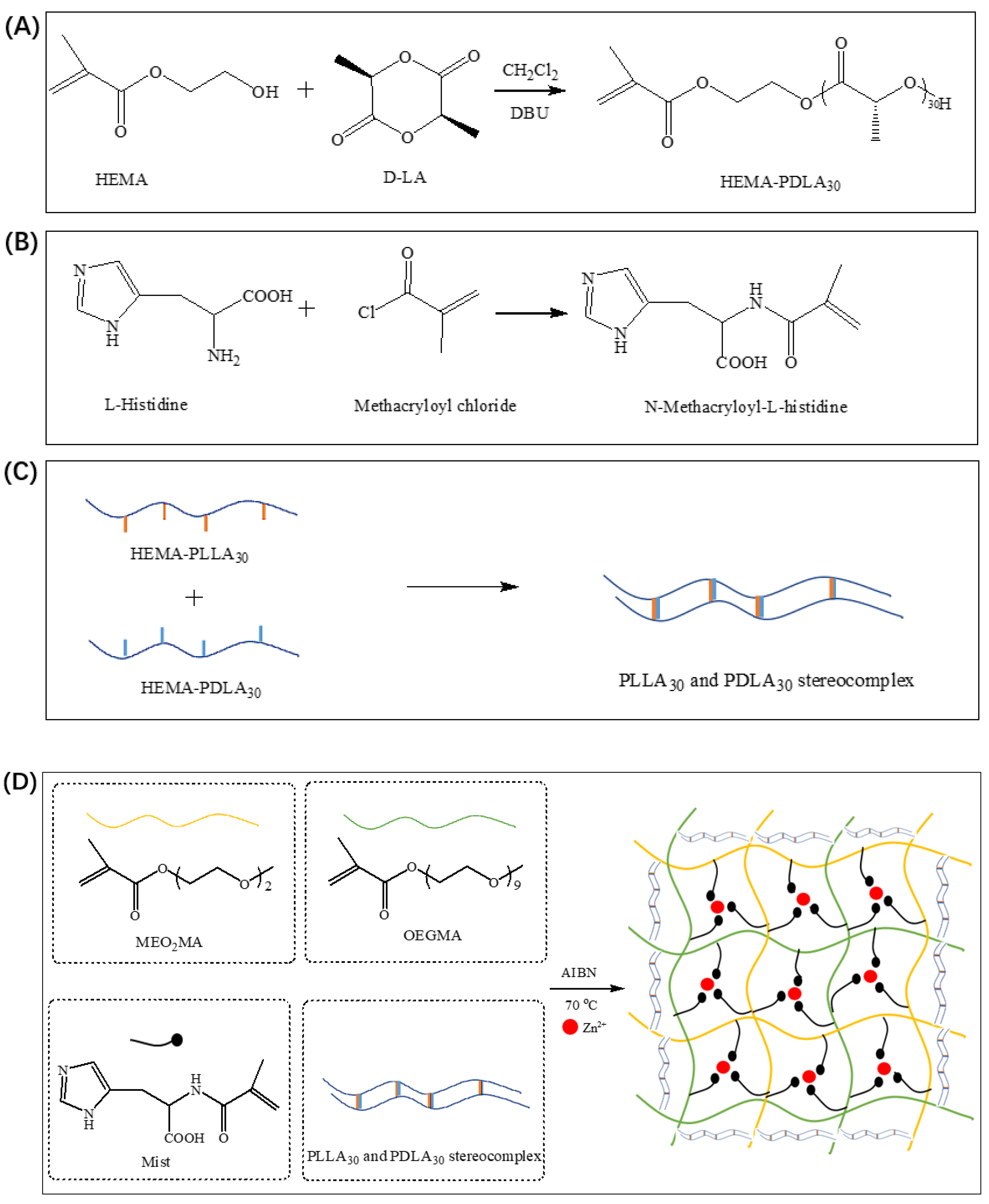 Gels 08 00570 sch002