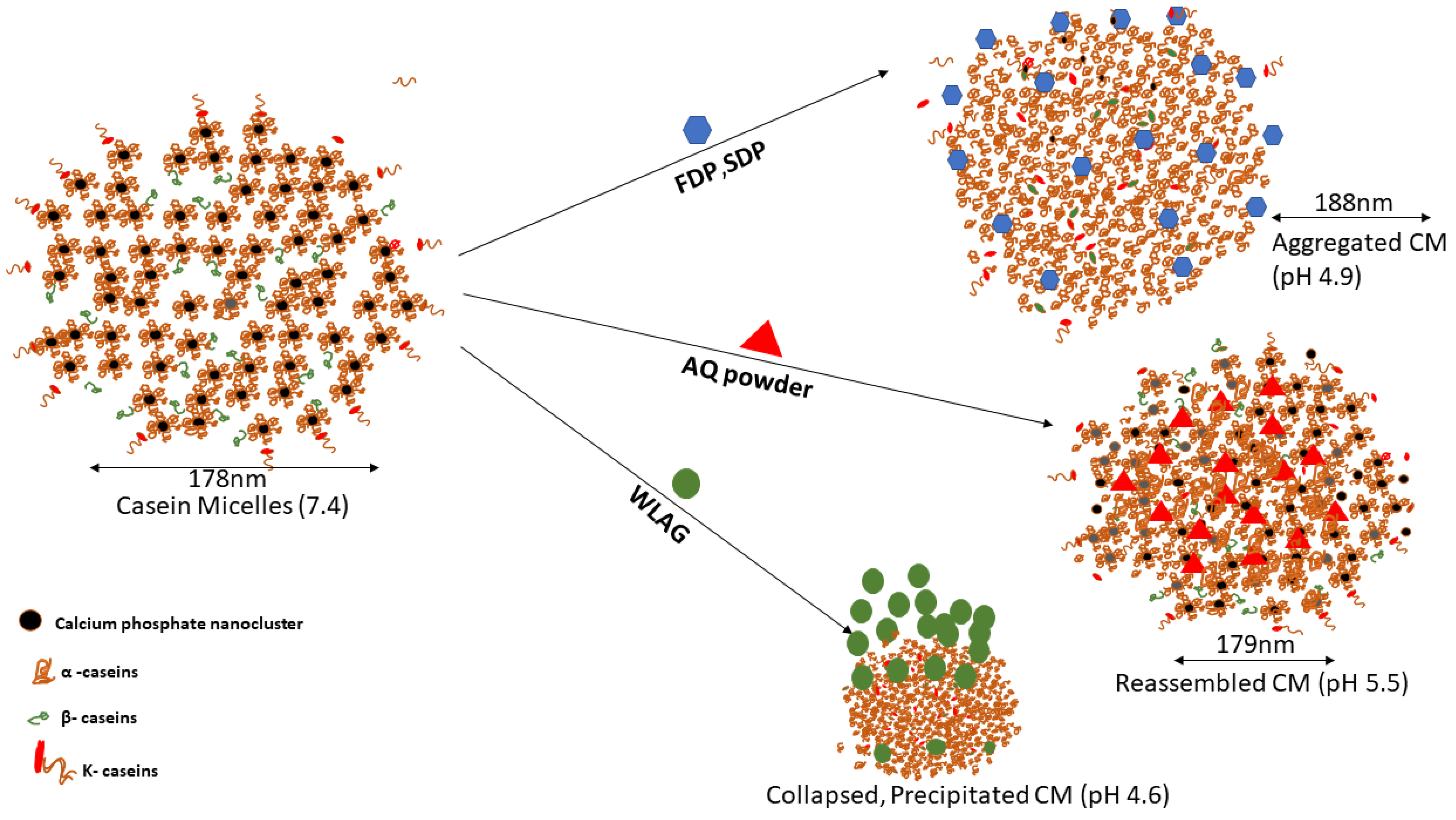 Gels 08 00597 g005 Gels 08 00597 g005