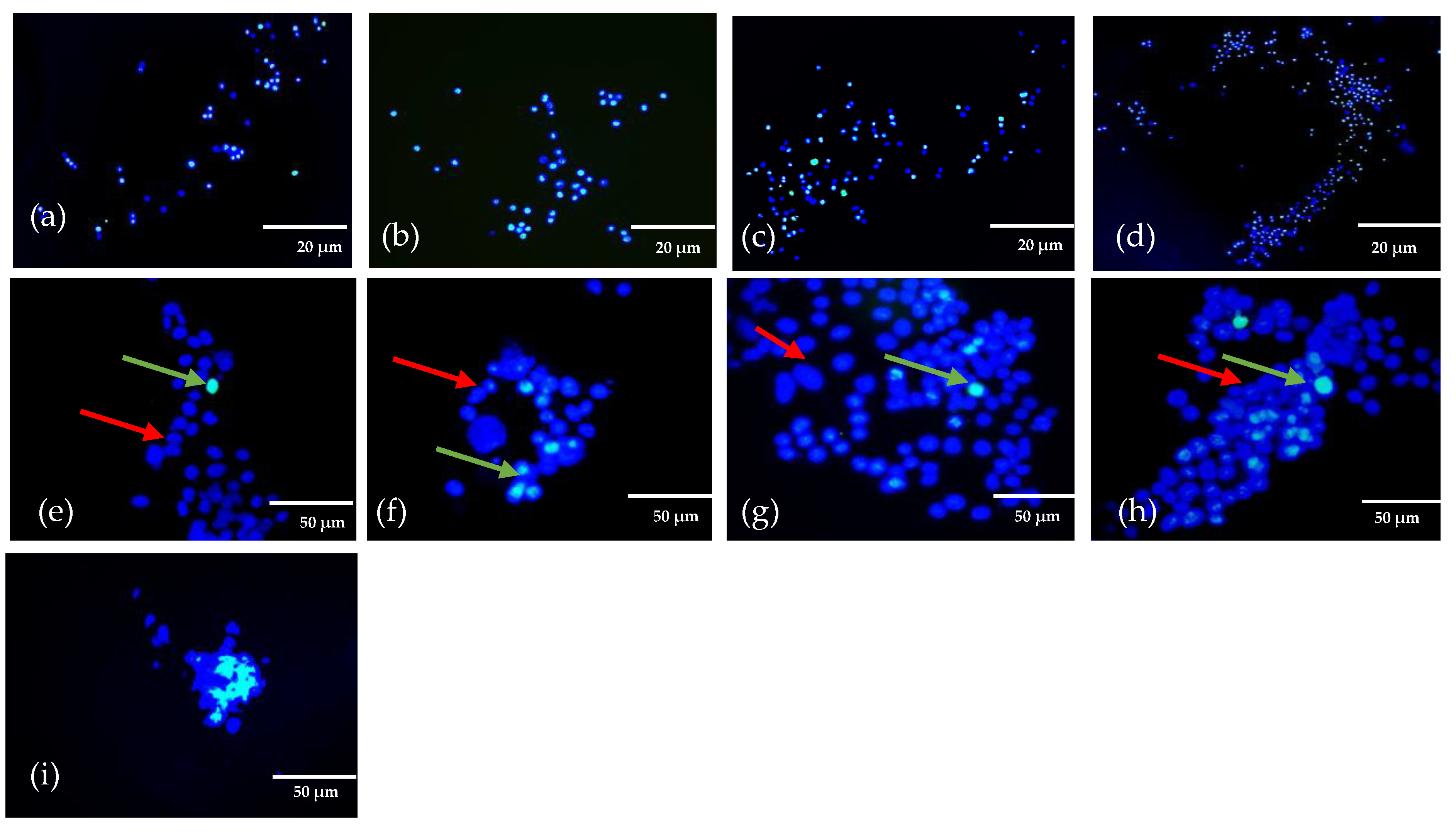 Gels 08 00603 g003