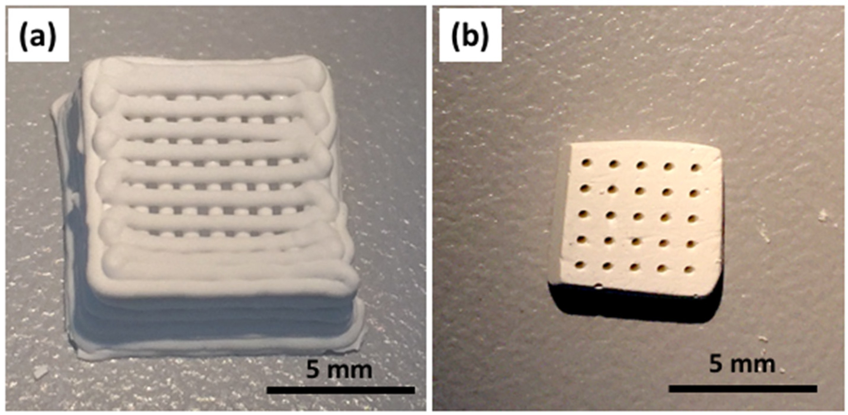 Gels 08 00634 g002 Gels 08 00634 g002