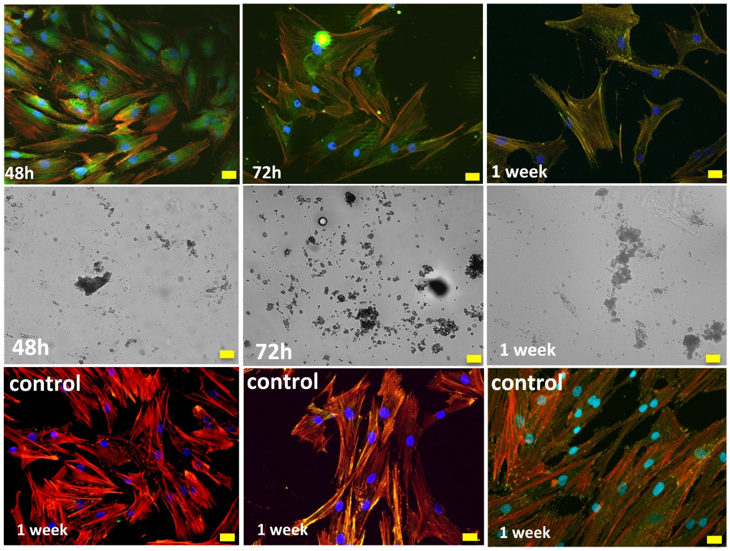 Gels 08 00634 g011 Gels 08 00634 g011