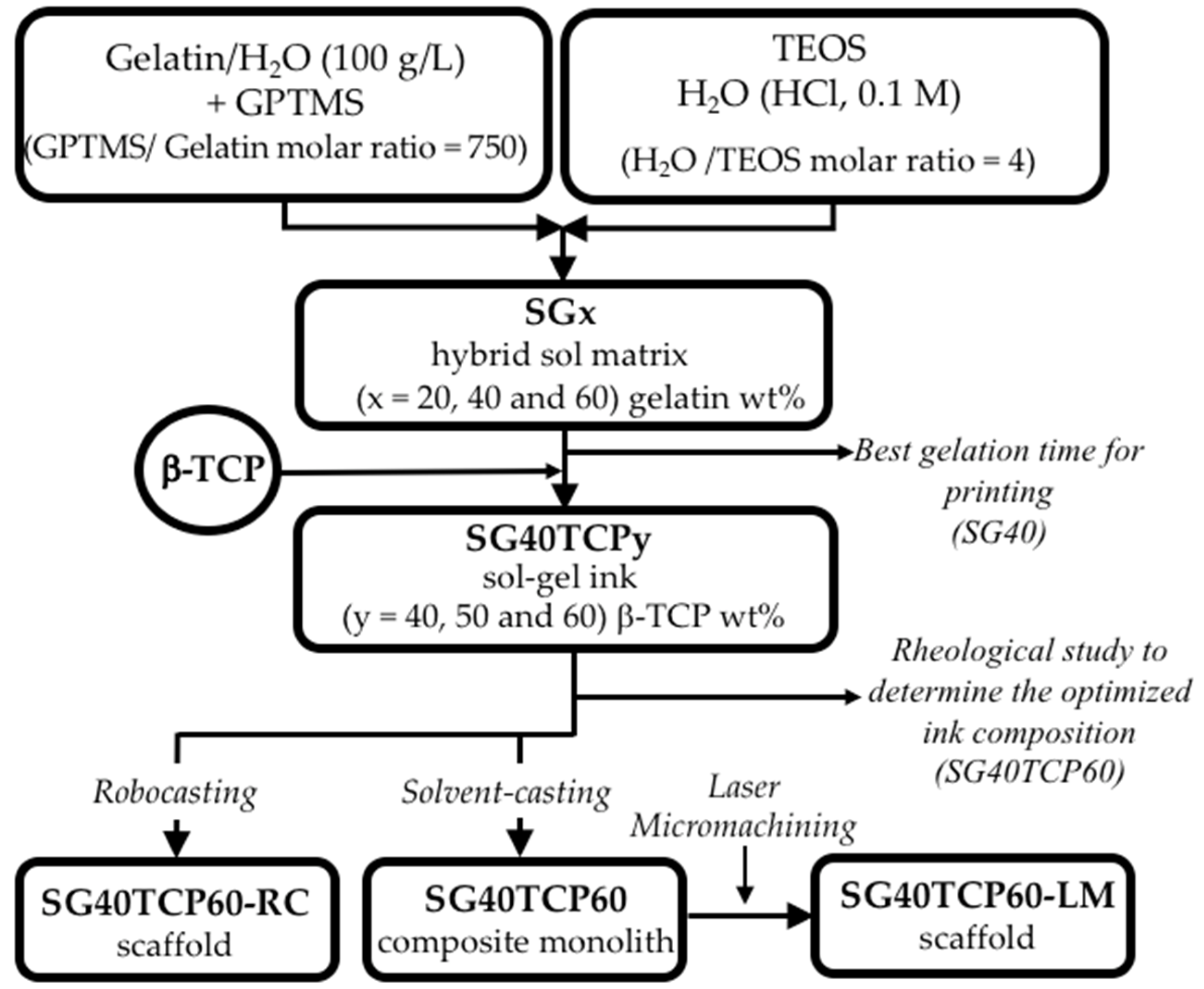 Gels 08 00634 g012 Gels 08 00634 g012