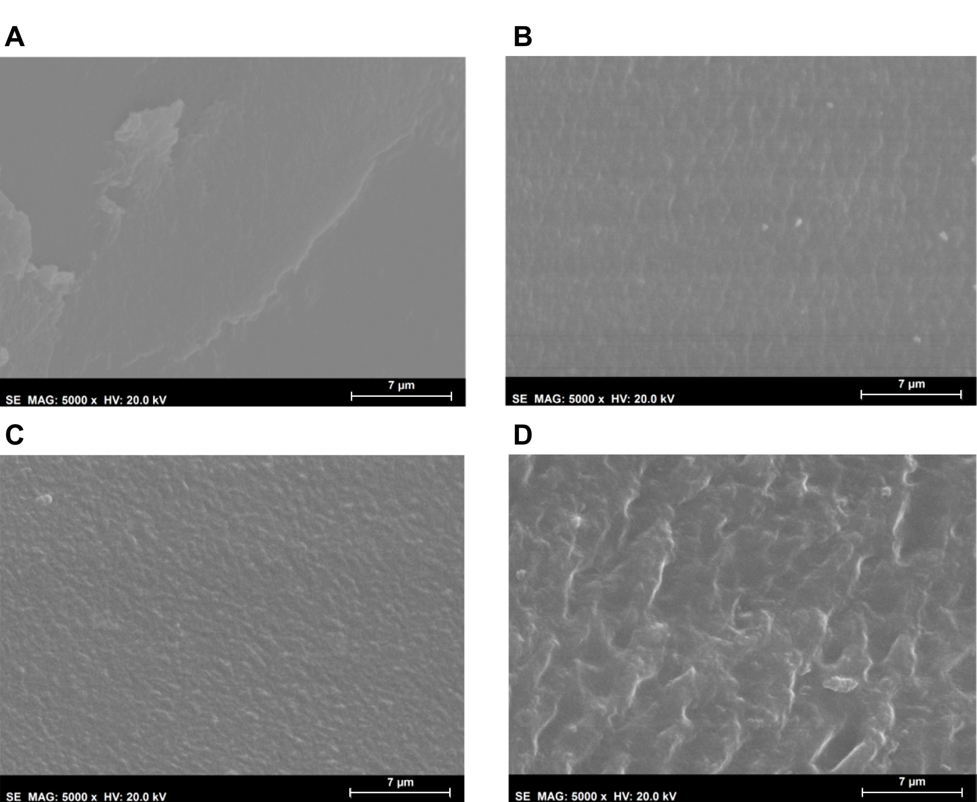Gels 08 00640 g010 Gels 08 00640 g010