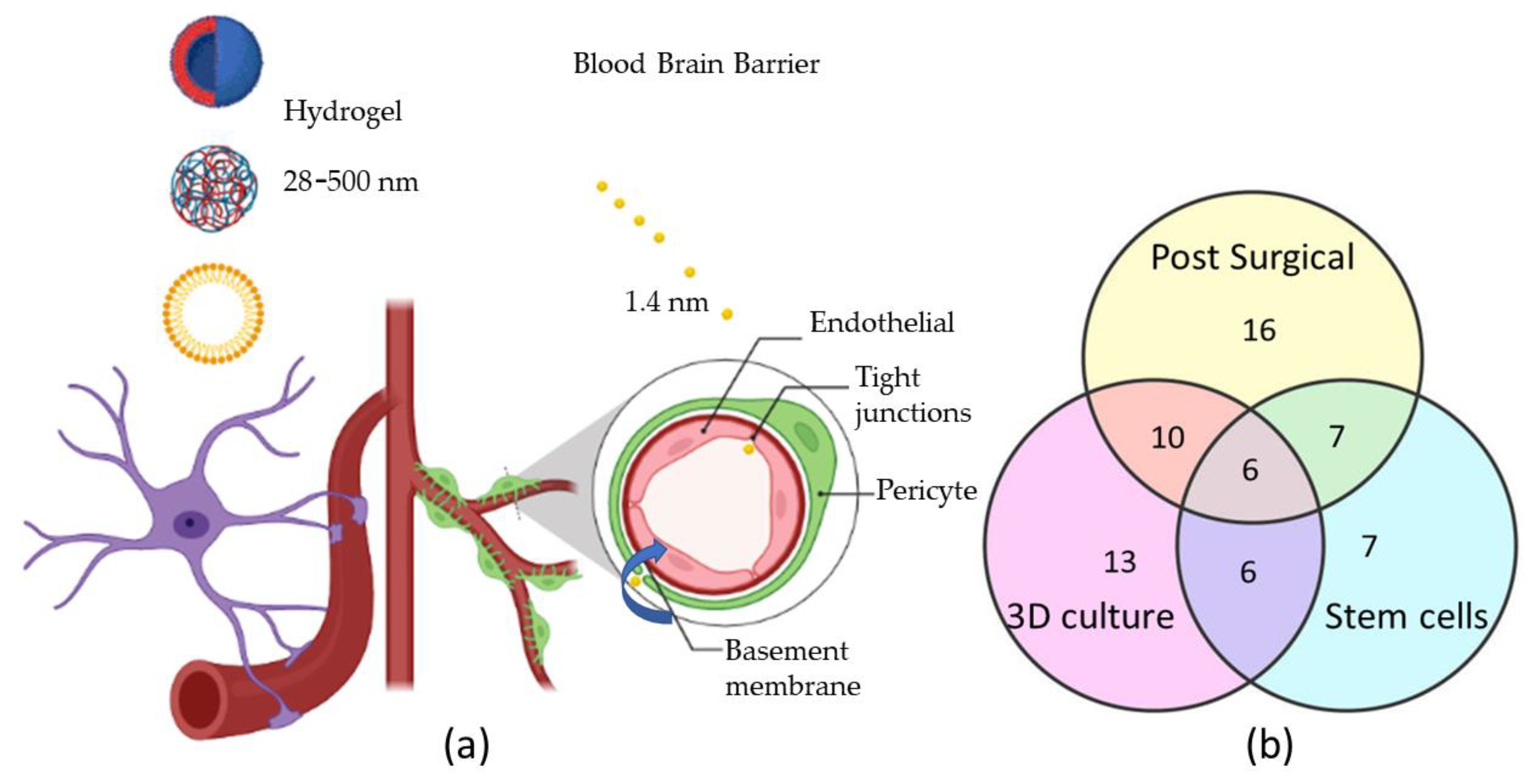 Gels 08 00664 g001 Gels 08 00664 g001