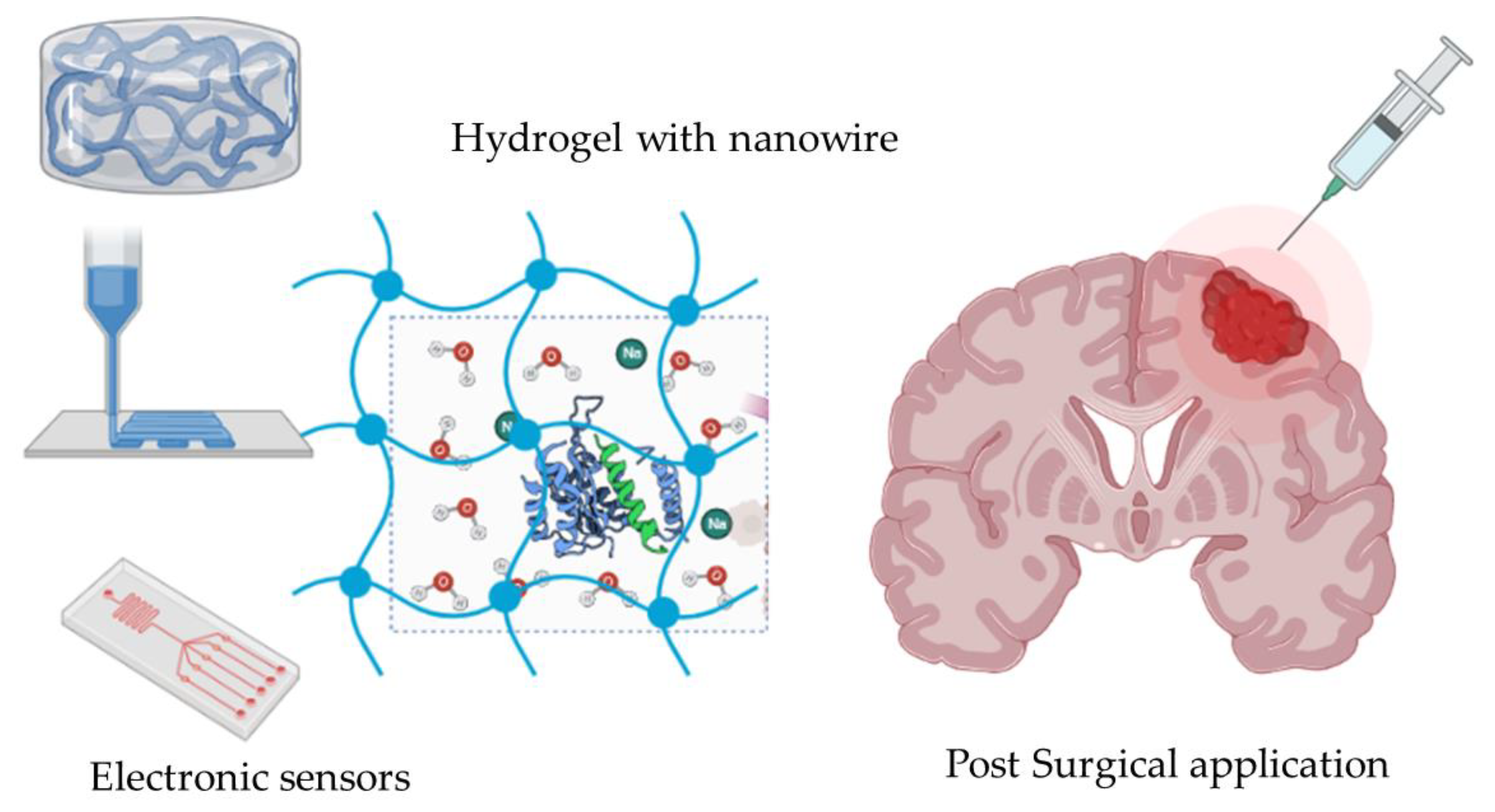 Gels 08 00664 g002 Gels 08 00664 g002