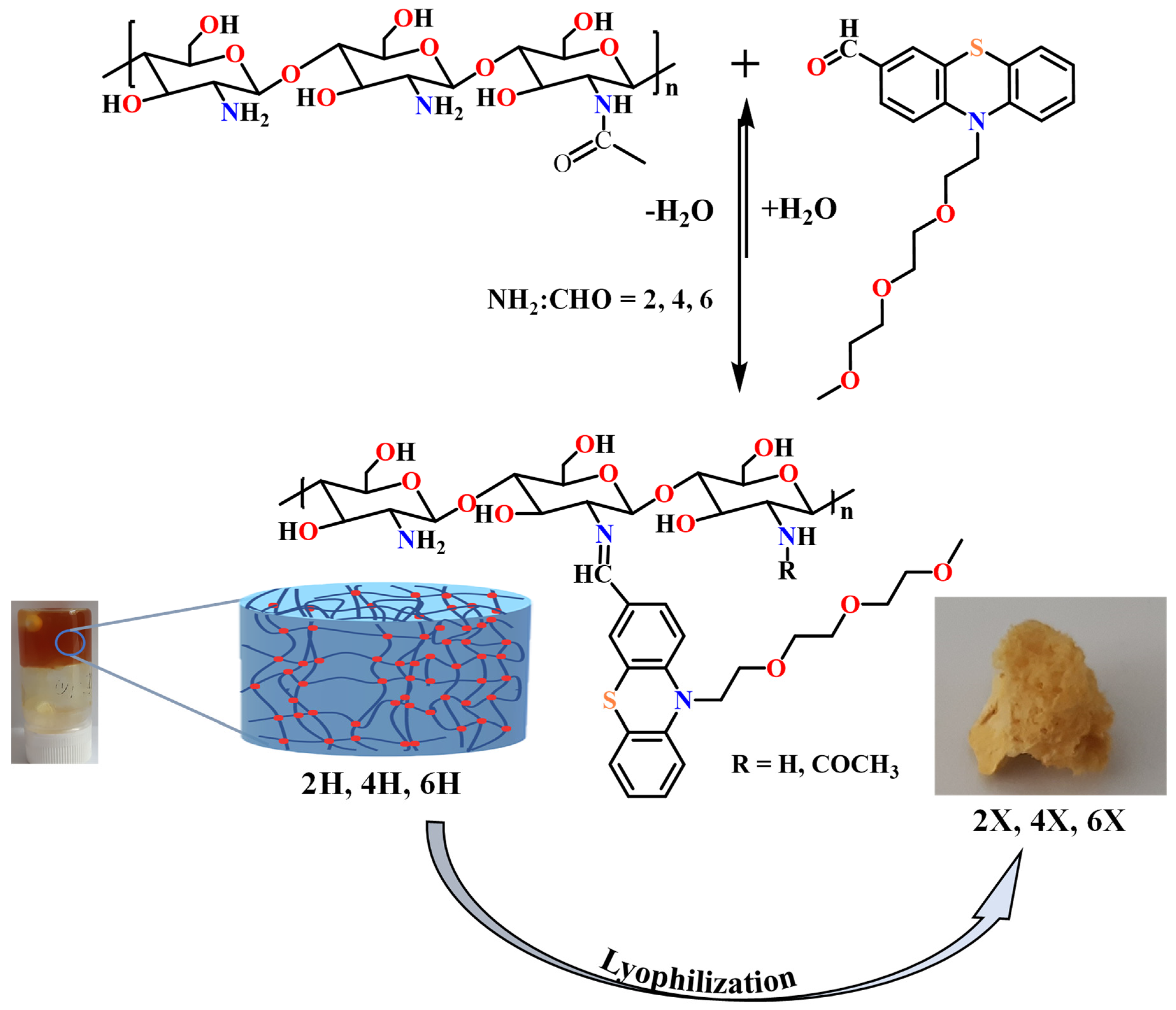 Gels 08 00692 sch002