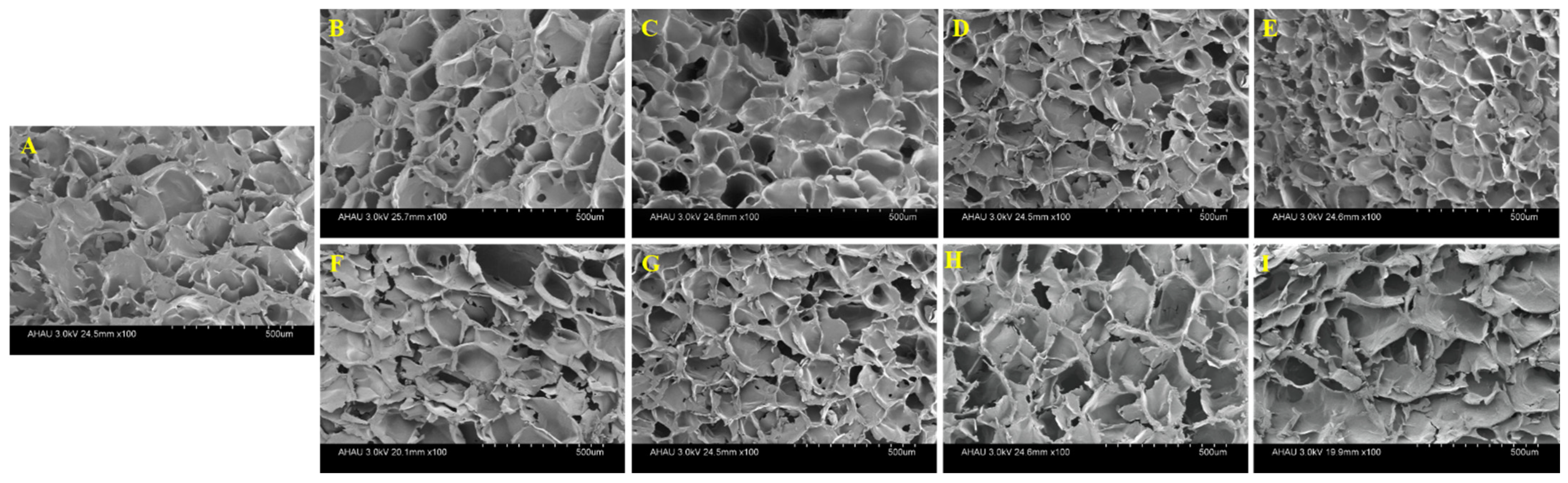 Gels 08 00714 g004 Gels 08 00714 g004