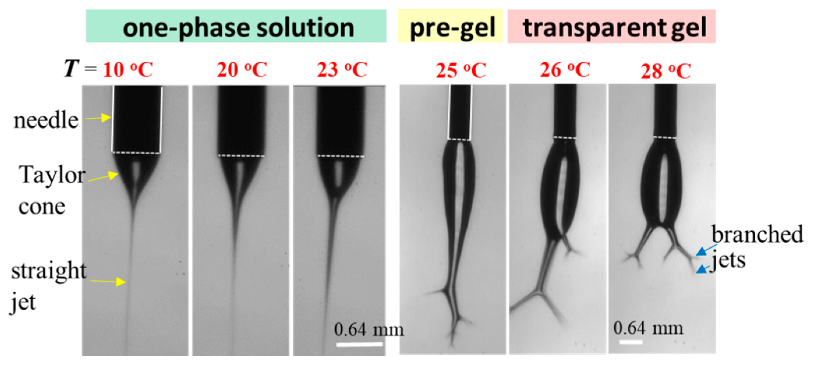 Gels 08 00716 g015 Gels 08 00716 g015