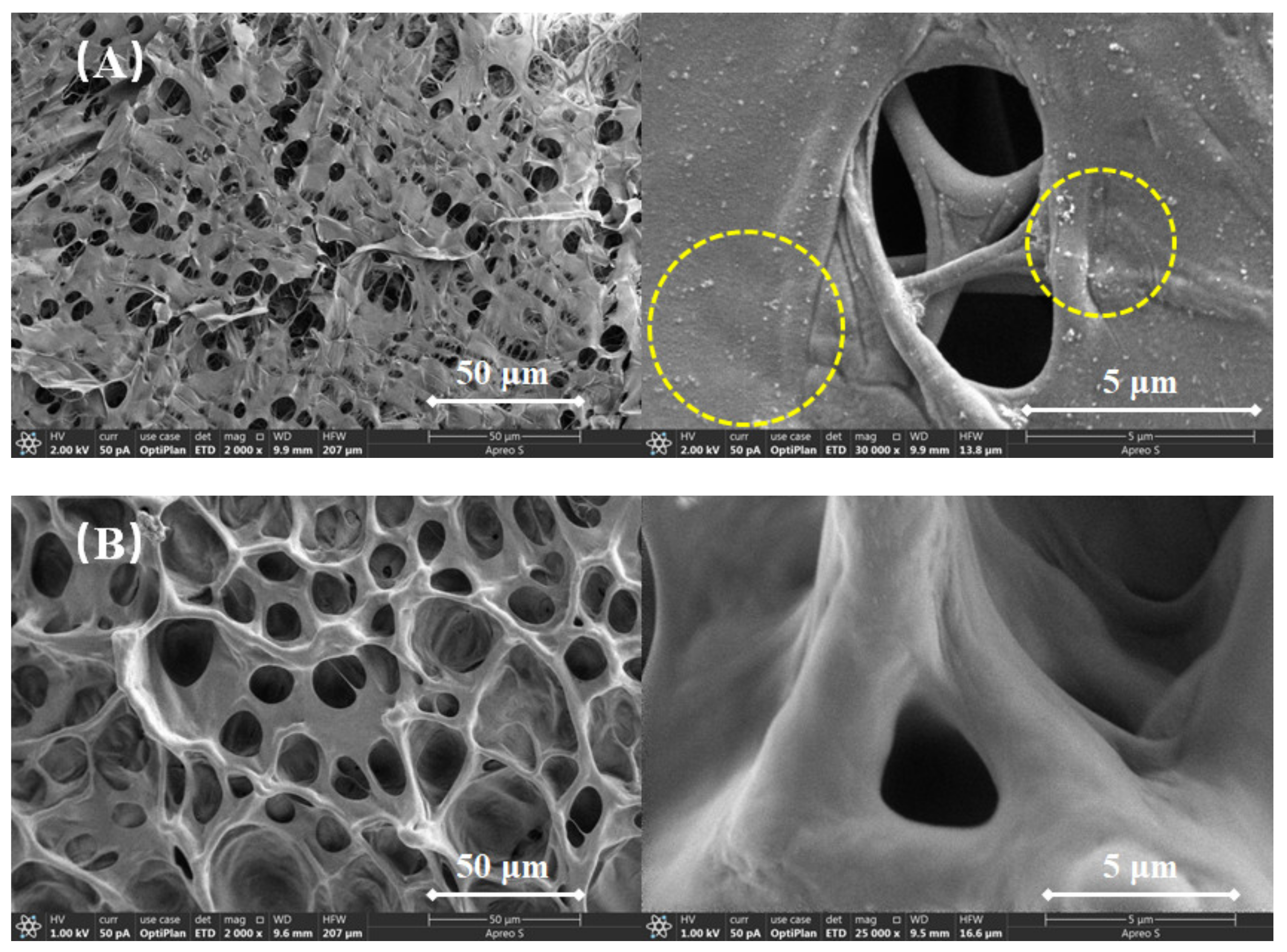 Gels 08 00722 g011 Gels 08 00722 g011