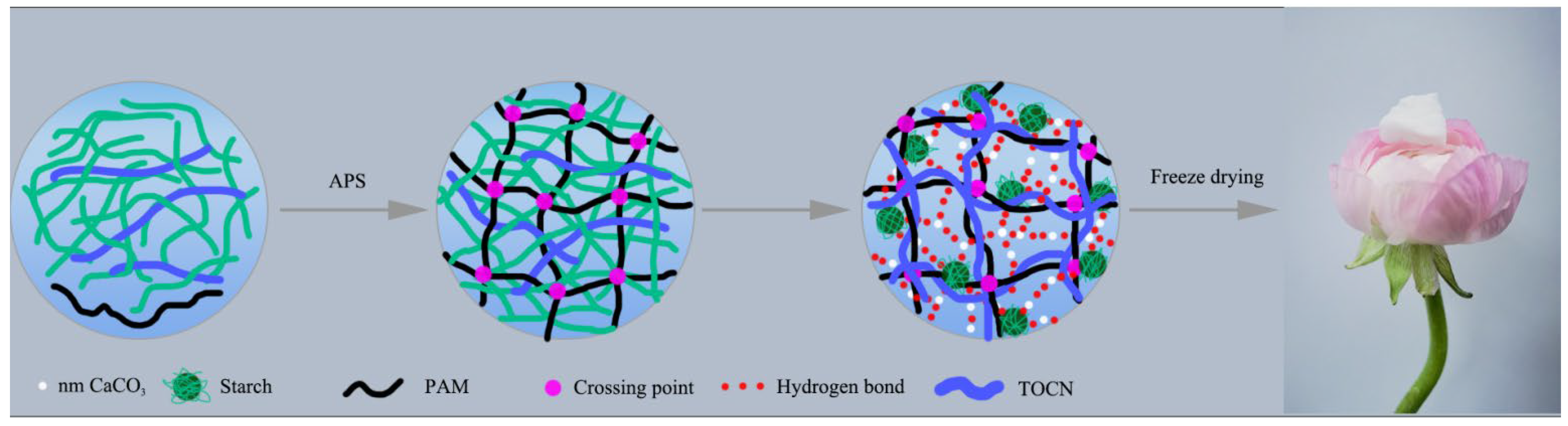 Gels 08 00755 sch001