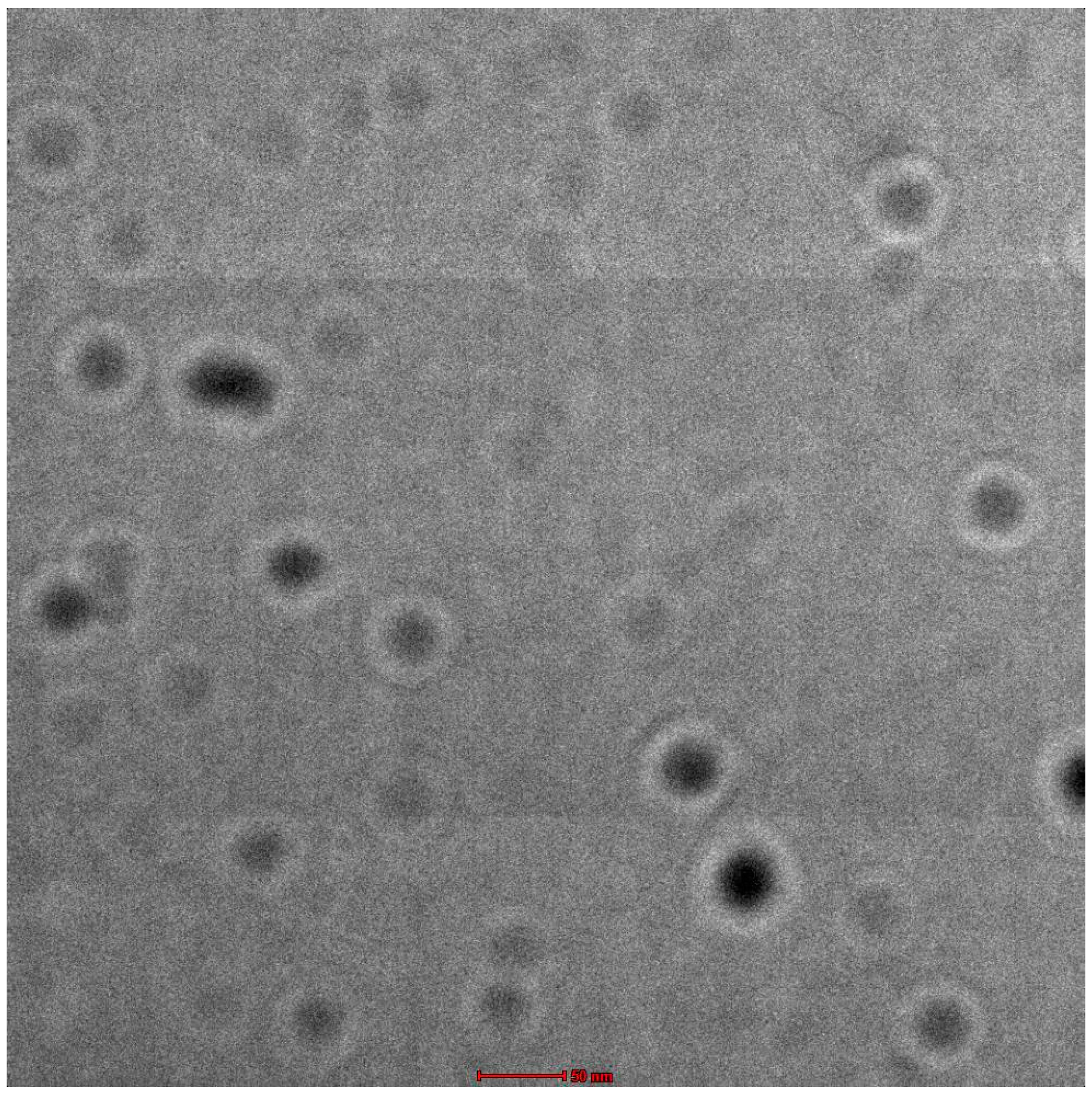 Gels 08 00761 g002 Gels 08 00761 g002