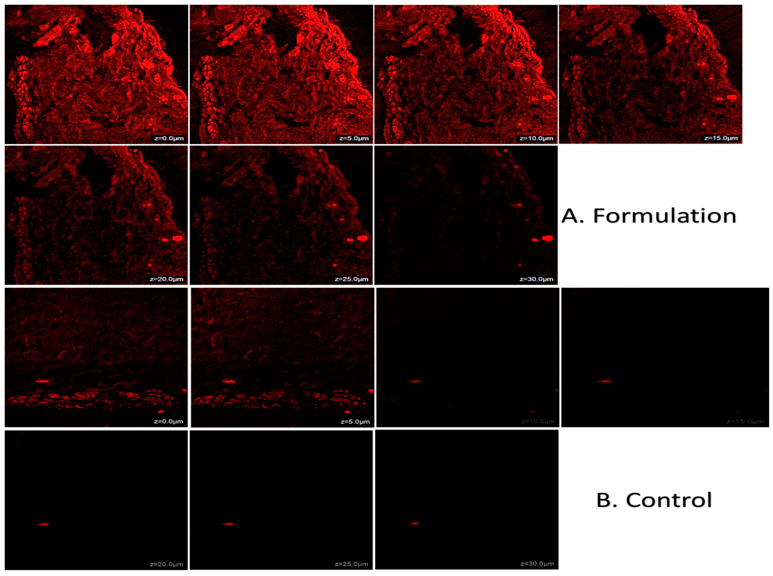 Gels 08 00761 g009 Gels 08 00761 g009
