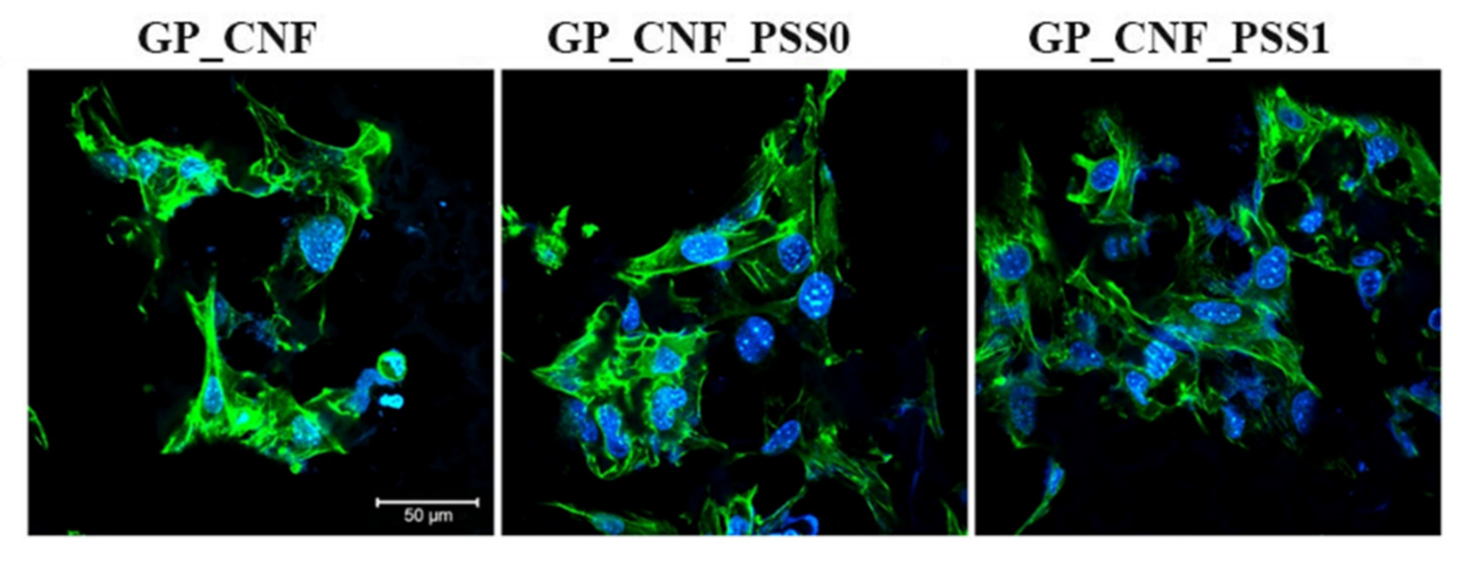 Gels 08 00762 g007 Gels 08 00762 g007