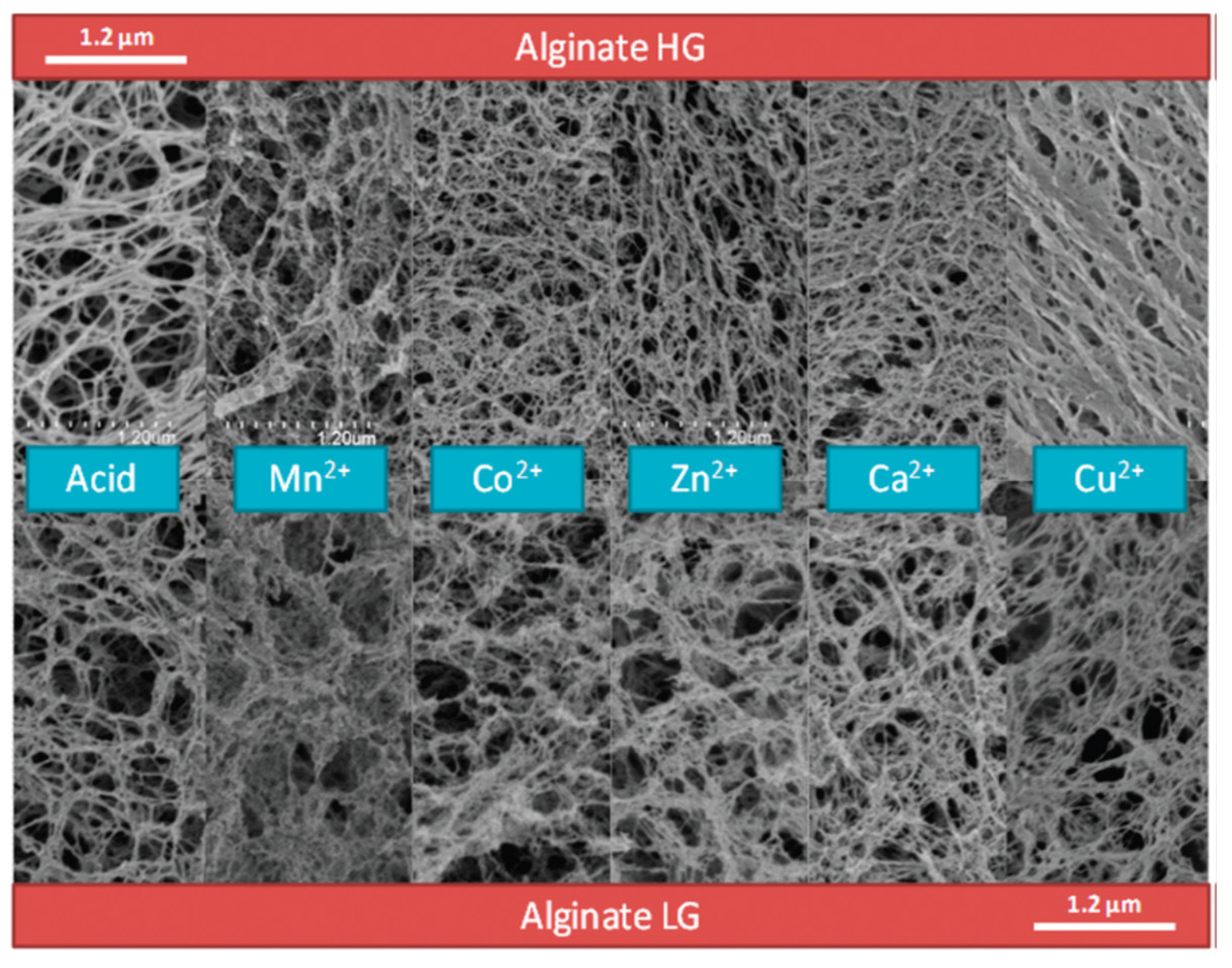 Gels 08 00771 g008 Gels 08 00771 g008