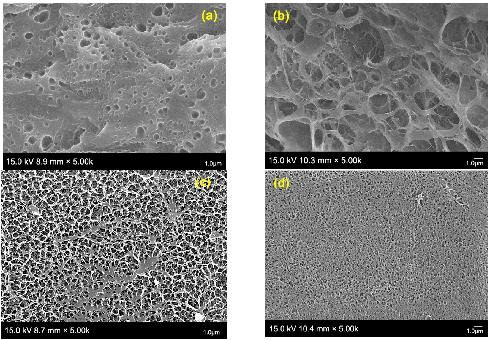 Gels 08 00803 g004 Gels 08 00803 g004
