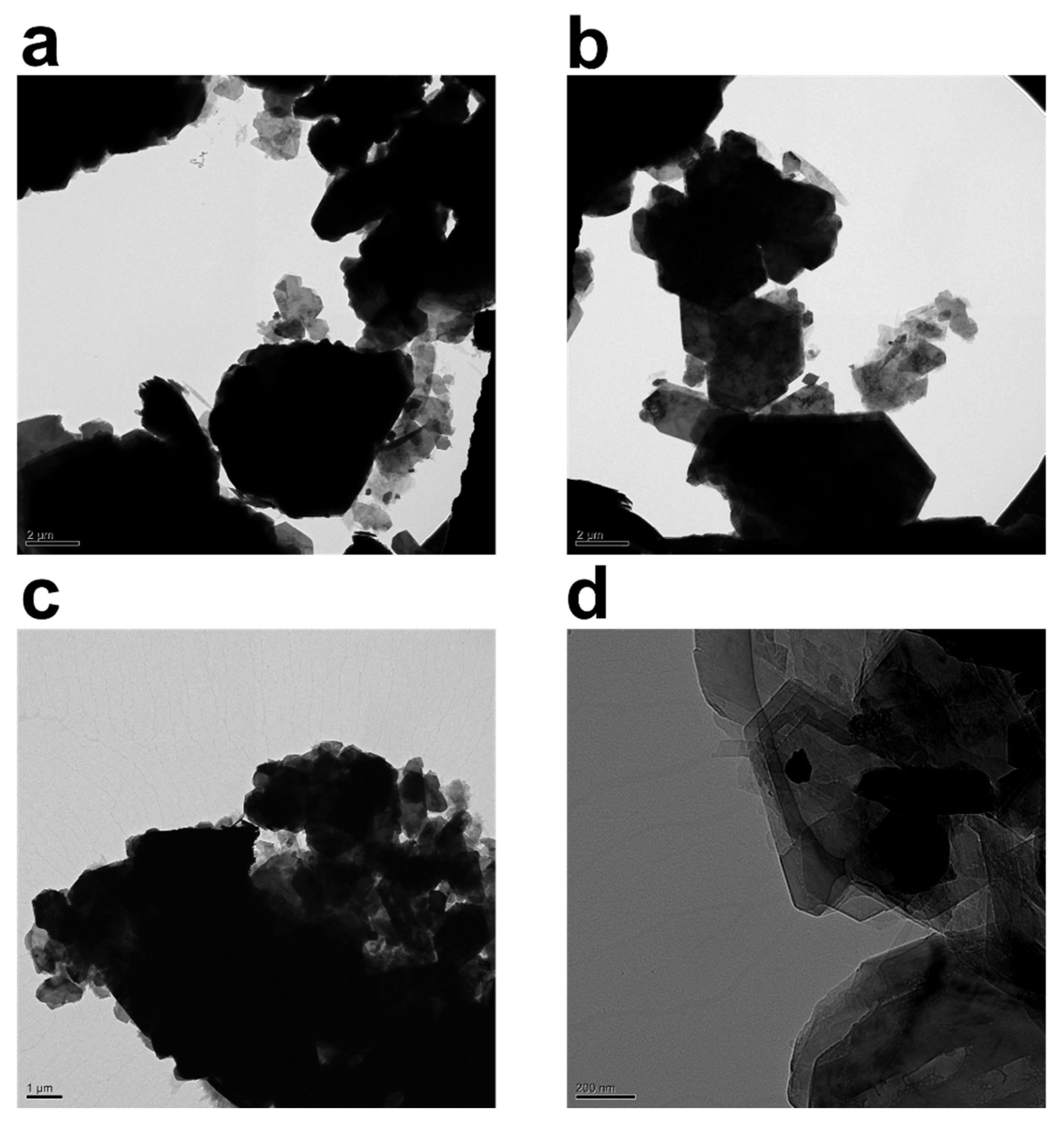 Gels 08 00807 g003 Gels 08 00807 g003