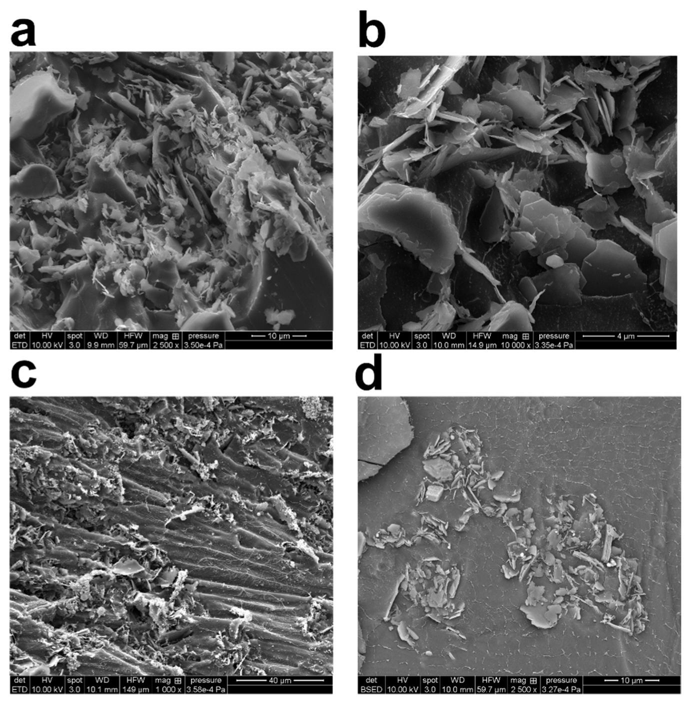 Gels 08 00807 g004 Gels 08 00807 g004