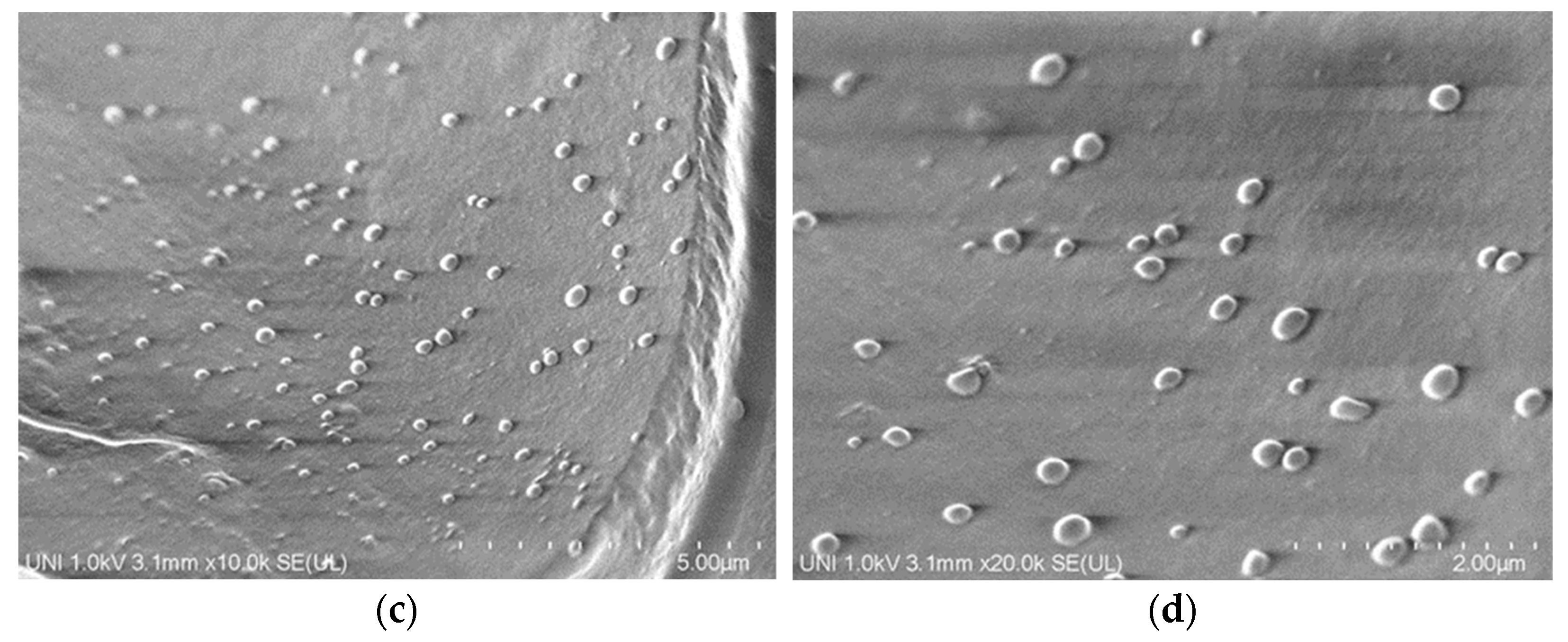 Gels 08 00815 g006b Gels 08 00815 g006b