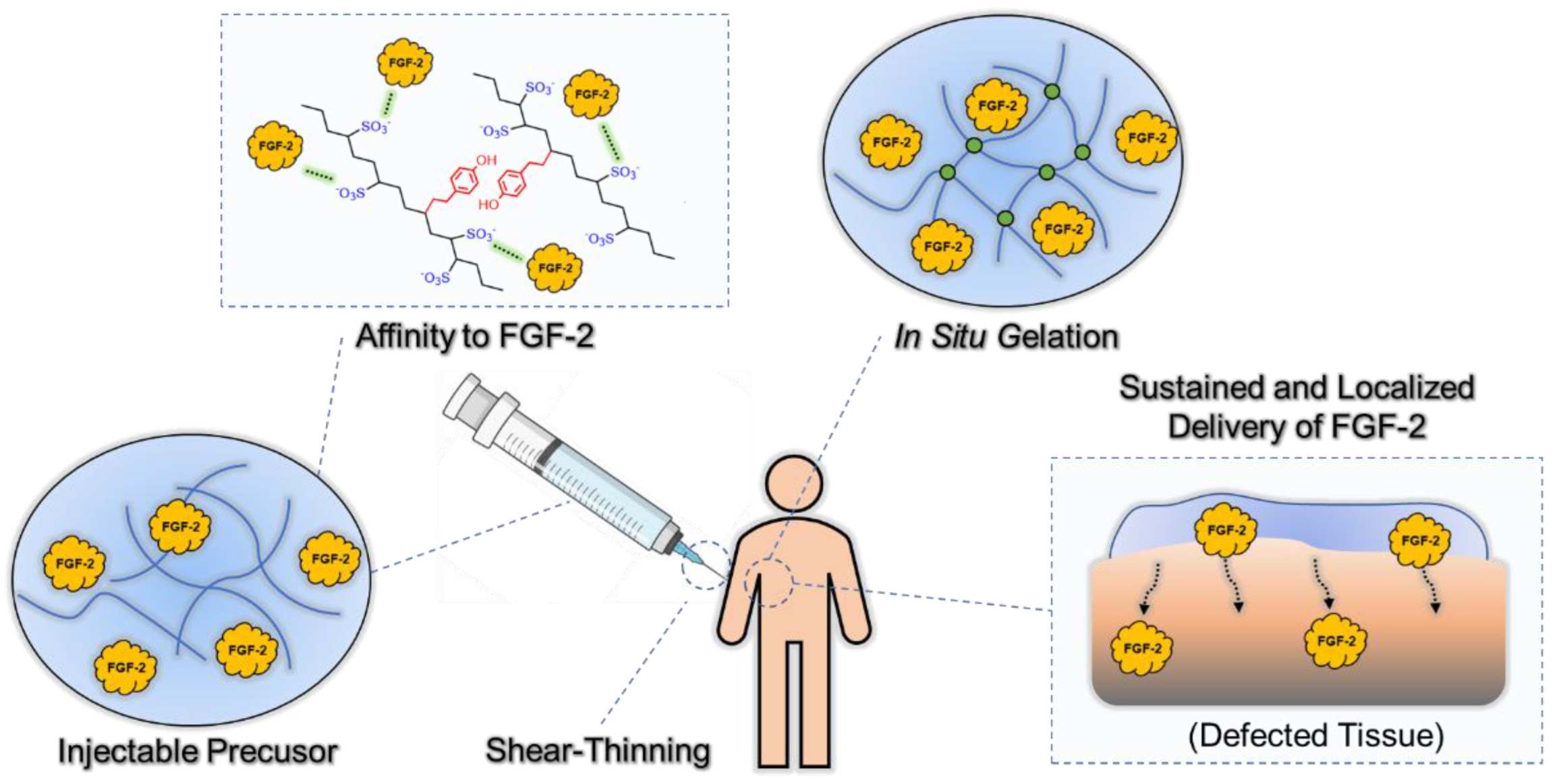 Gels 08 00818 g001 Gels 08 00818 g001
