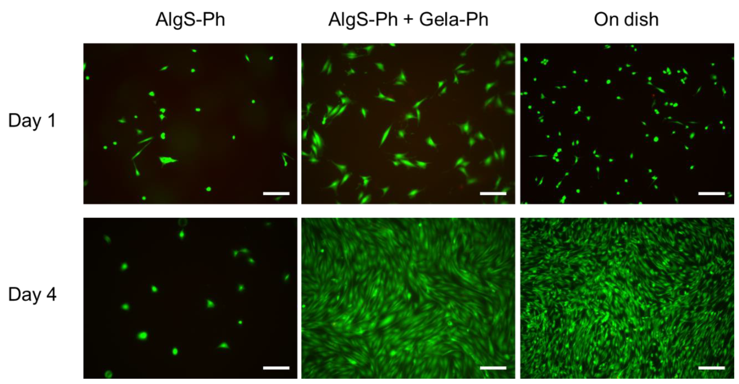 Gels 08 00818 g004 Gels 08 00818 g004