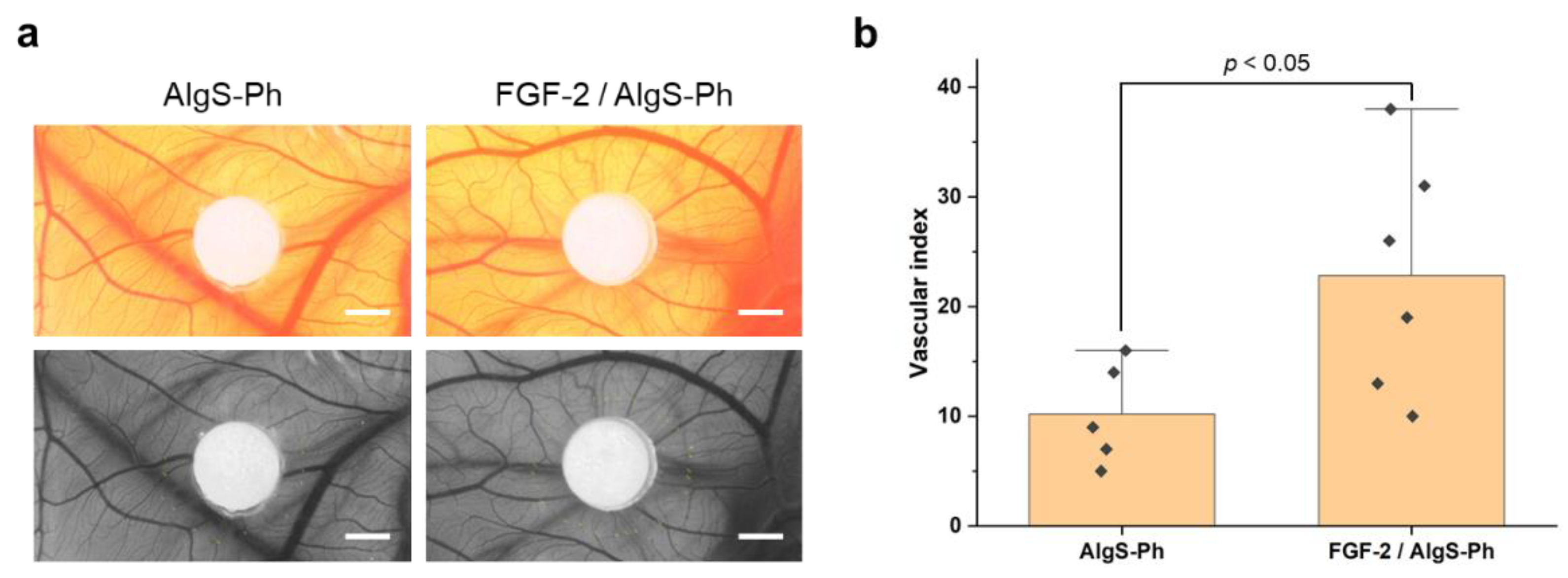 Gels 08 00818 g005 Gels 08 00818 g005