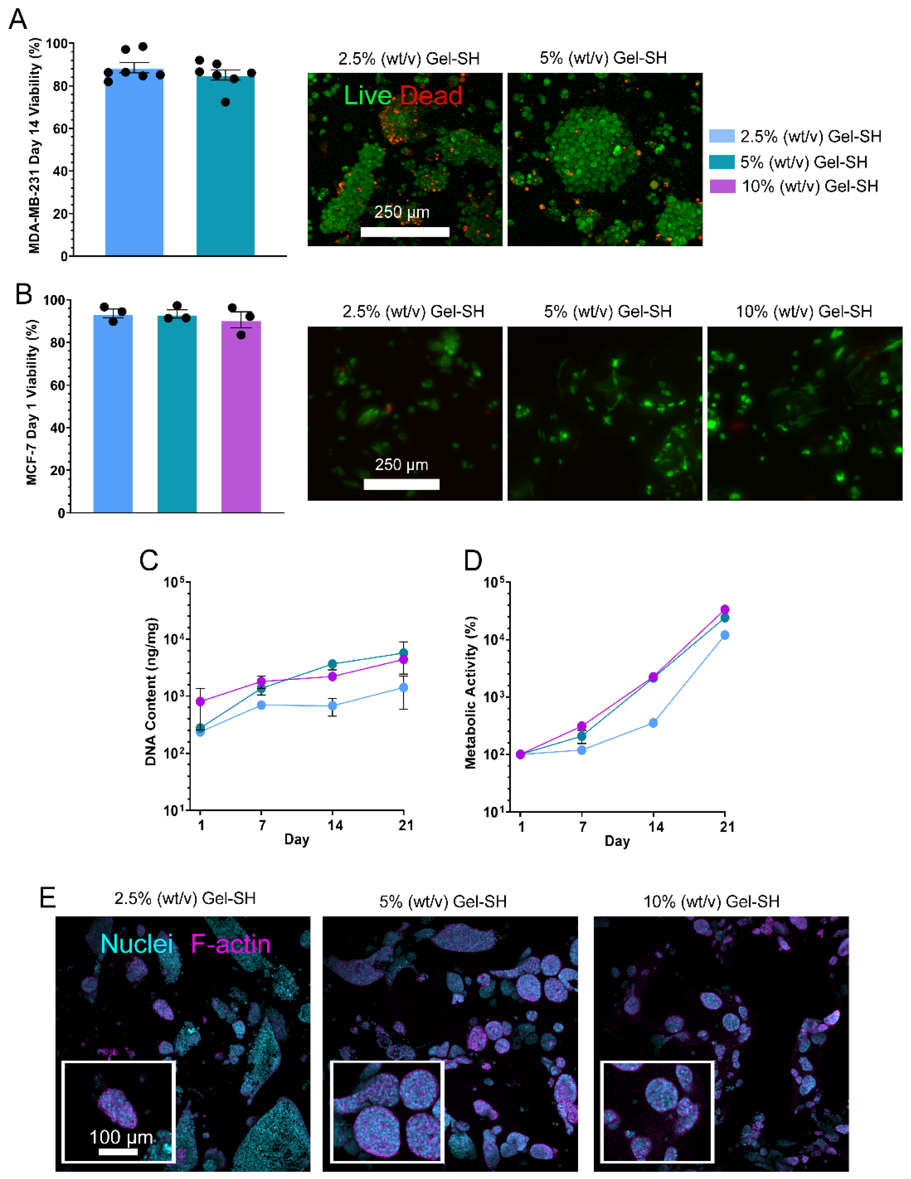 Gels 08 00821 g007 Gels 08 00821 g007